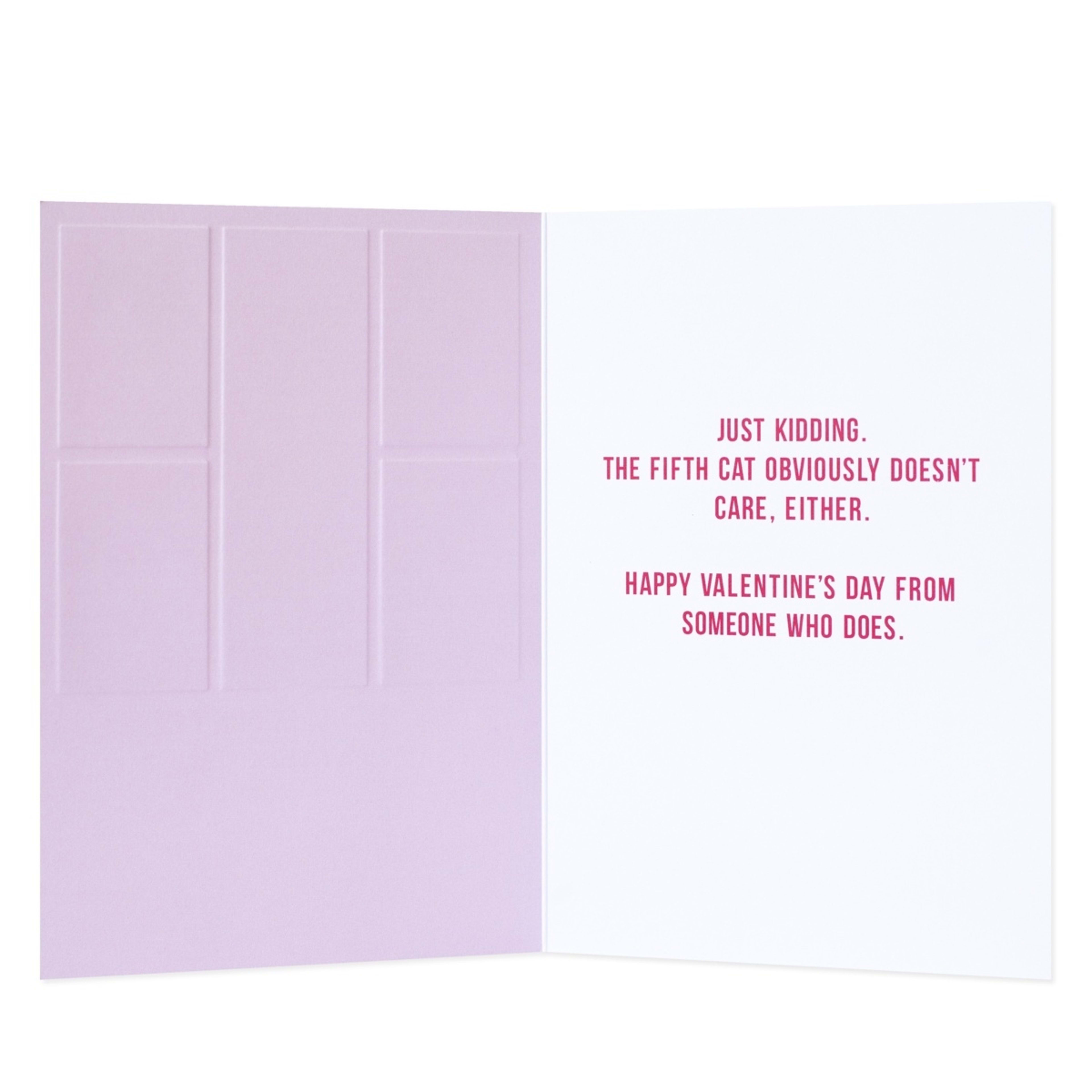 2 Hallmark Shoebox Valentine's Day Card - 4 out of 5 Cats Don't Care It's Valentine's Day, 2 of 3