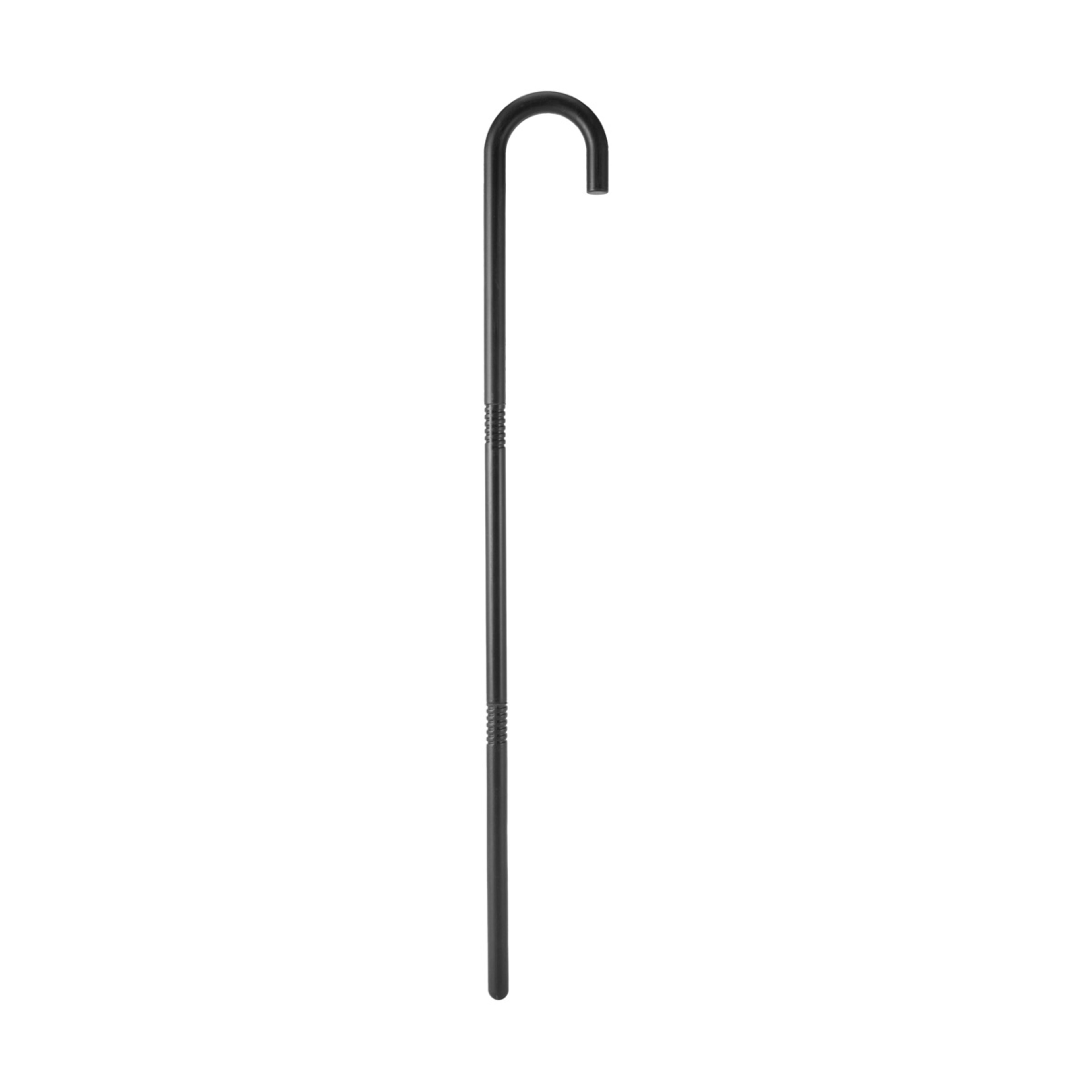 1 Walking Cane - Ages 3+