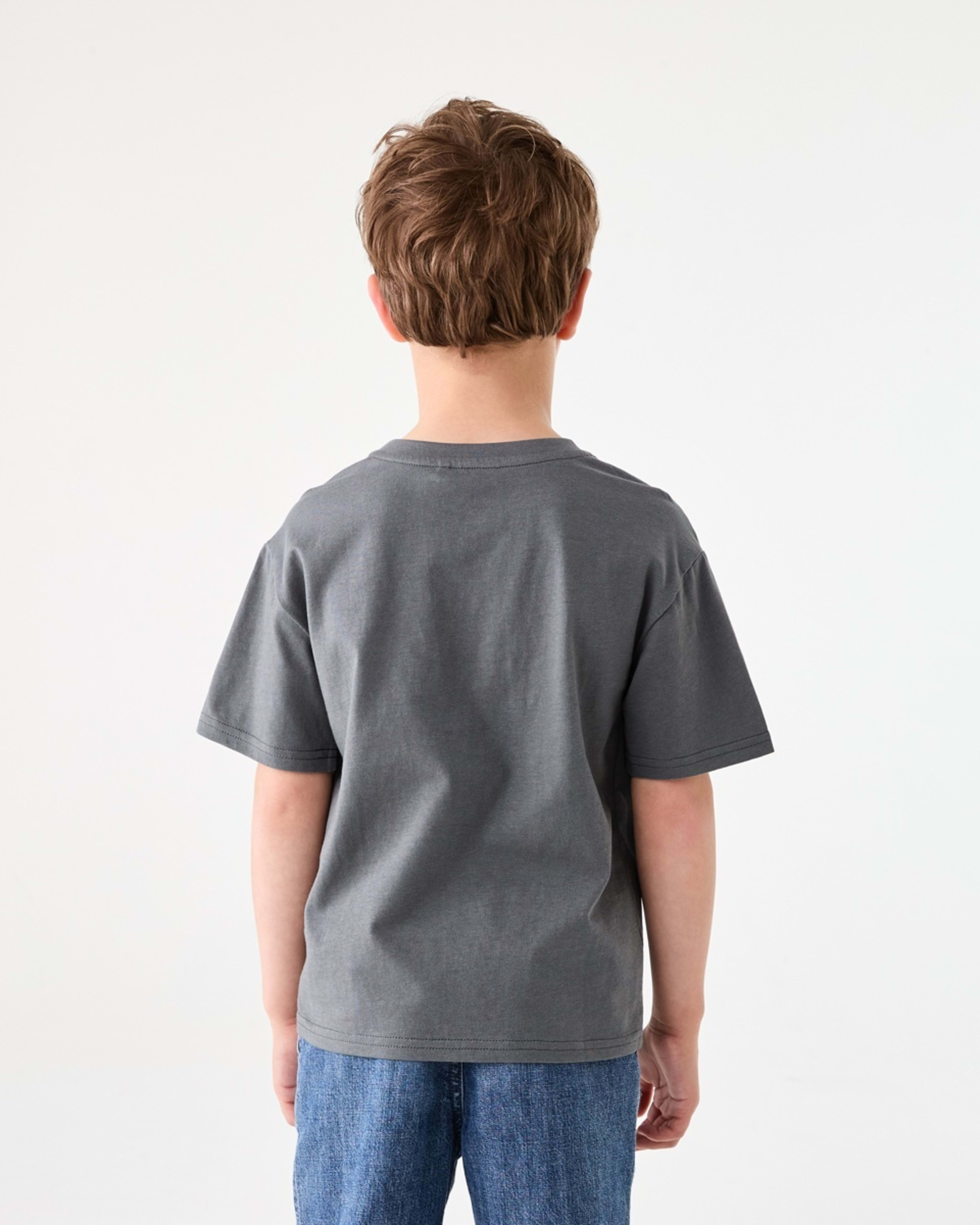 2 Chest Print T-shirt SUNSET RACER WASHED GREY, 2 of 6
