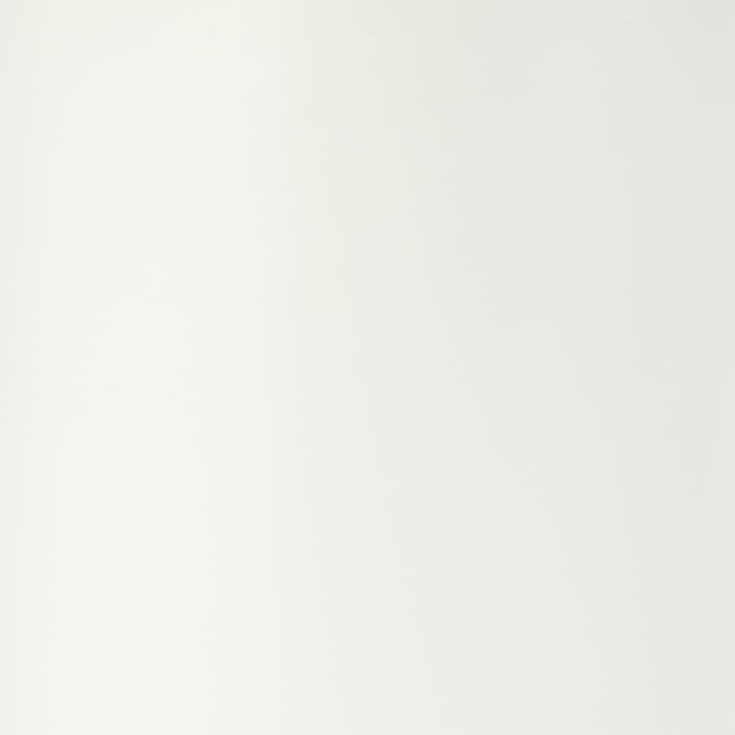 White and Bamboo Toilet Brush Kmart NZ