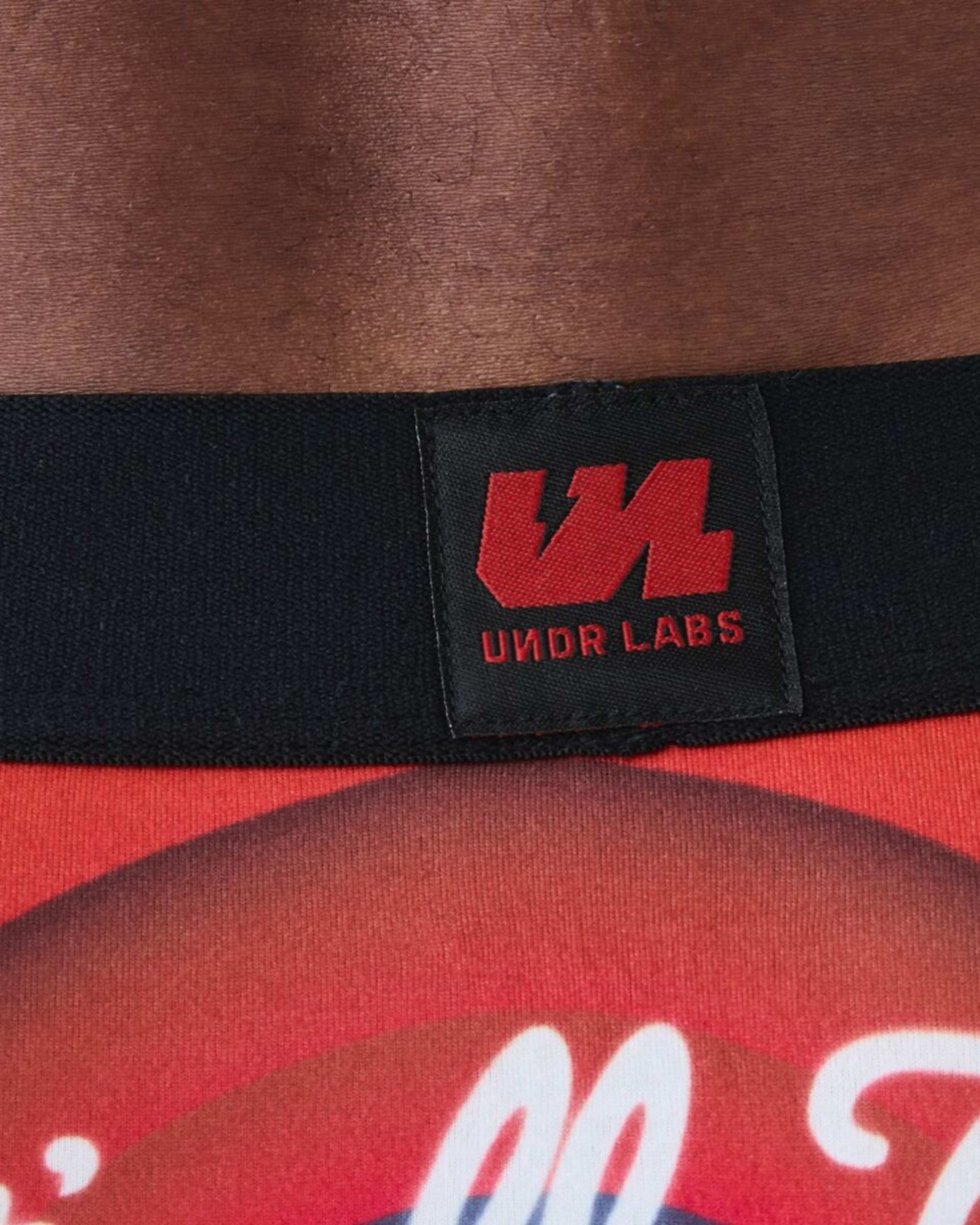 6 License Print Trunks Looneyred, 6 of 6