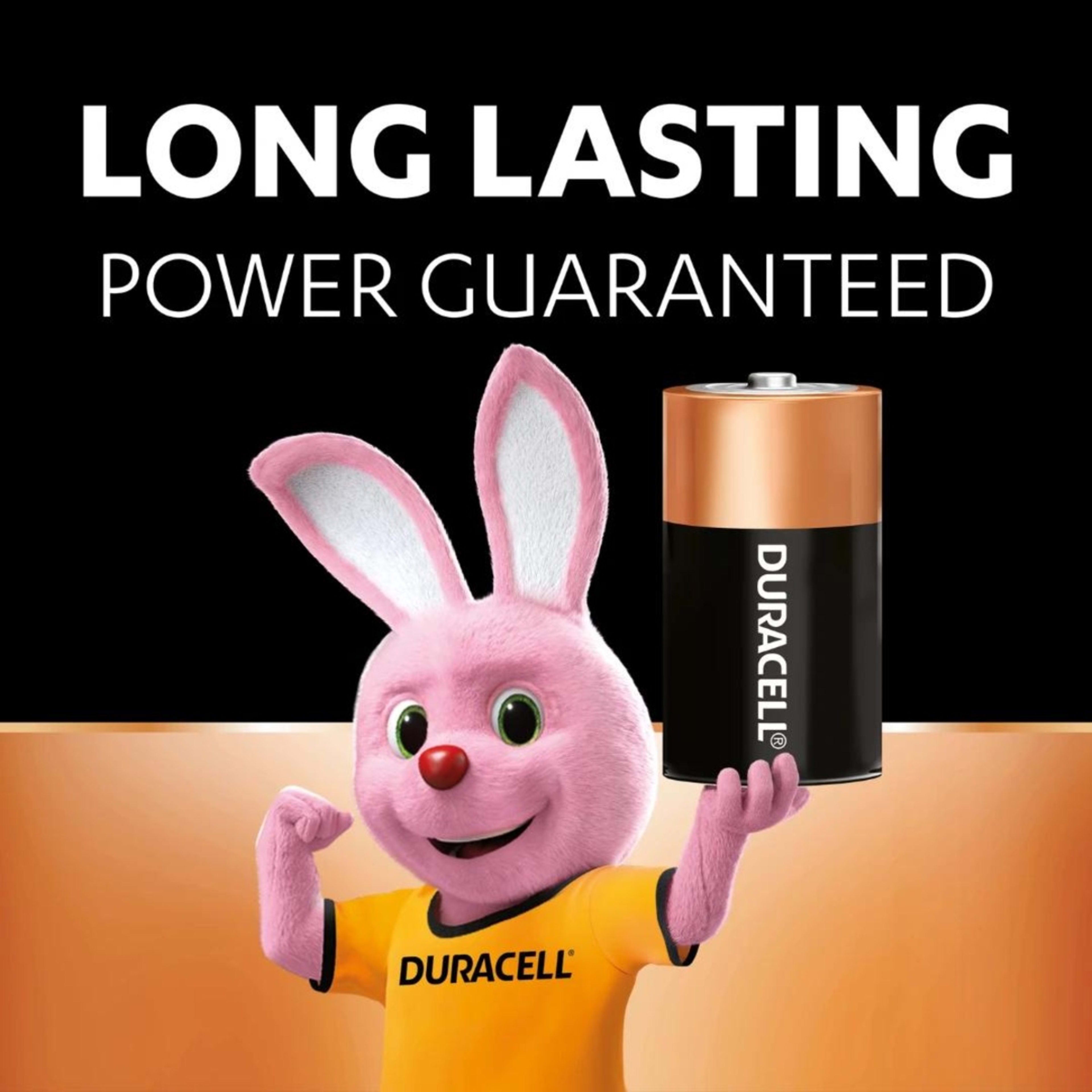 3 4 Pack Duracell Coppertop D Alkaline Batteries, 3 of 7
