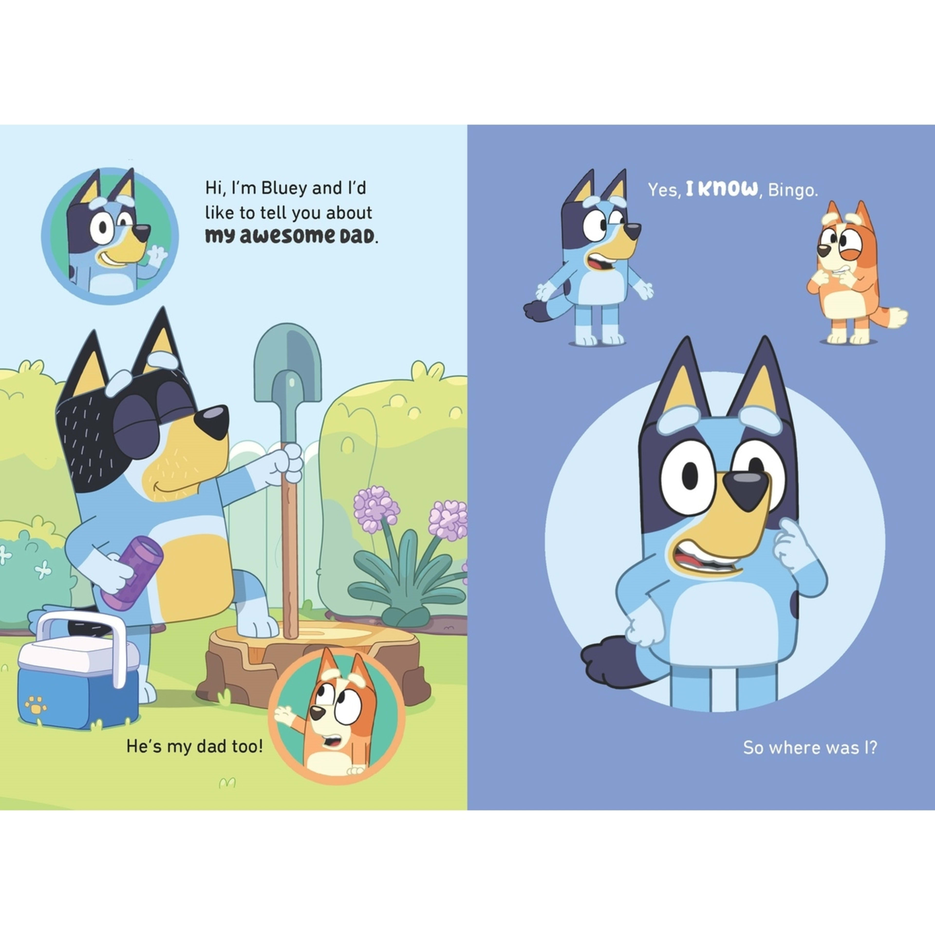 2 Bluey: My Dad is Awesome - Book, 2 of 5