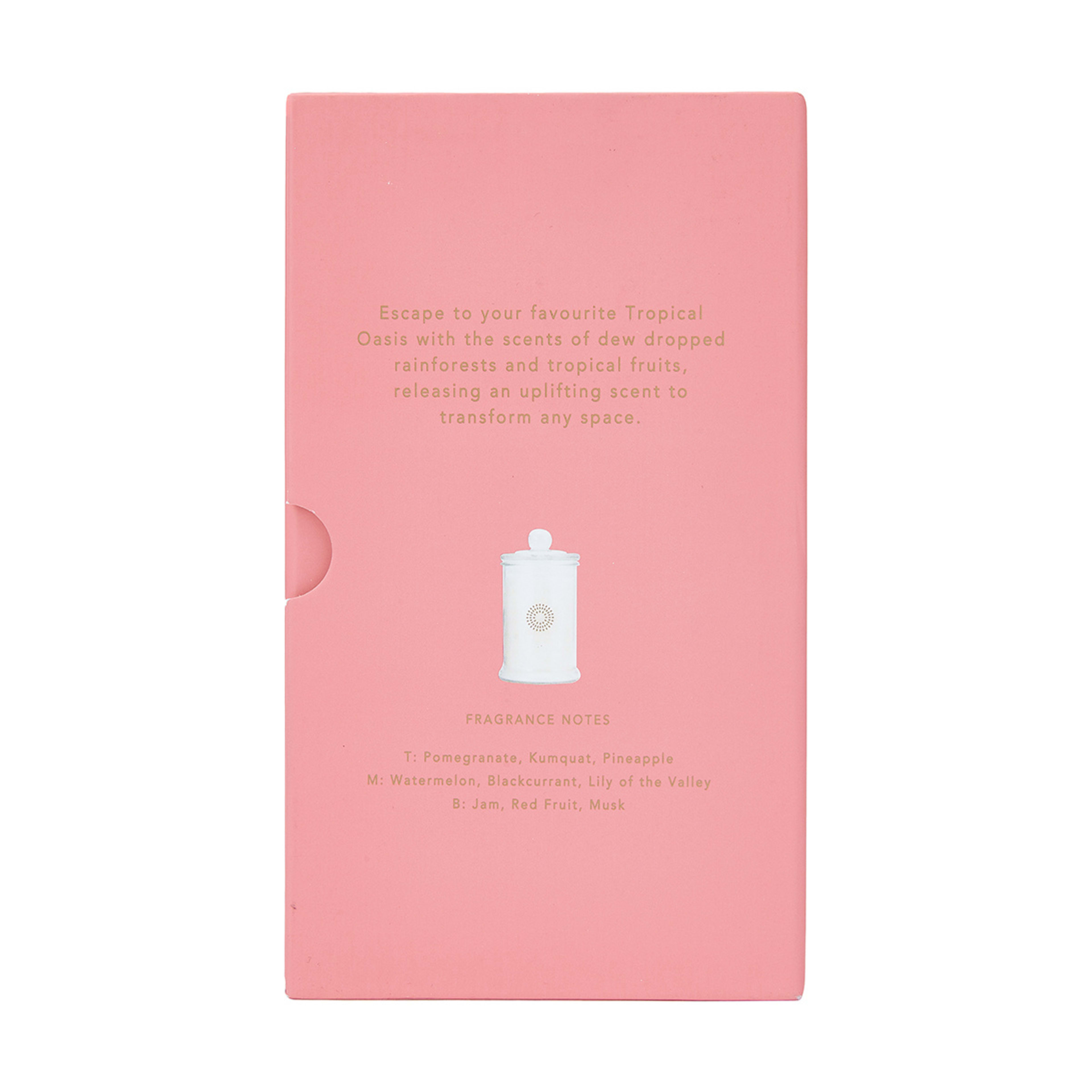 Tropical Oasis Jar Fragrant Candle Kmart