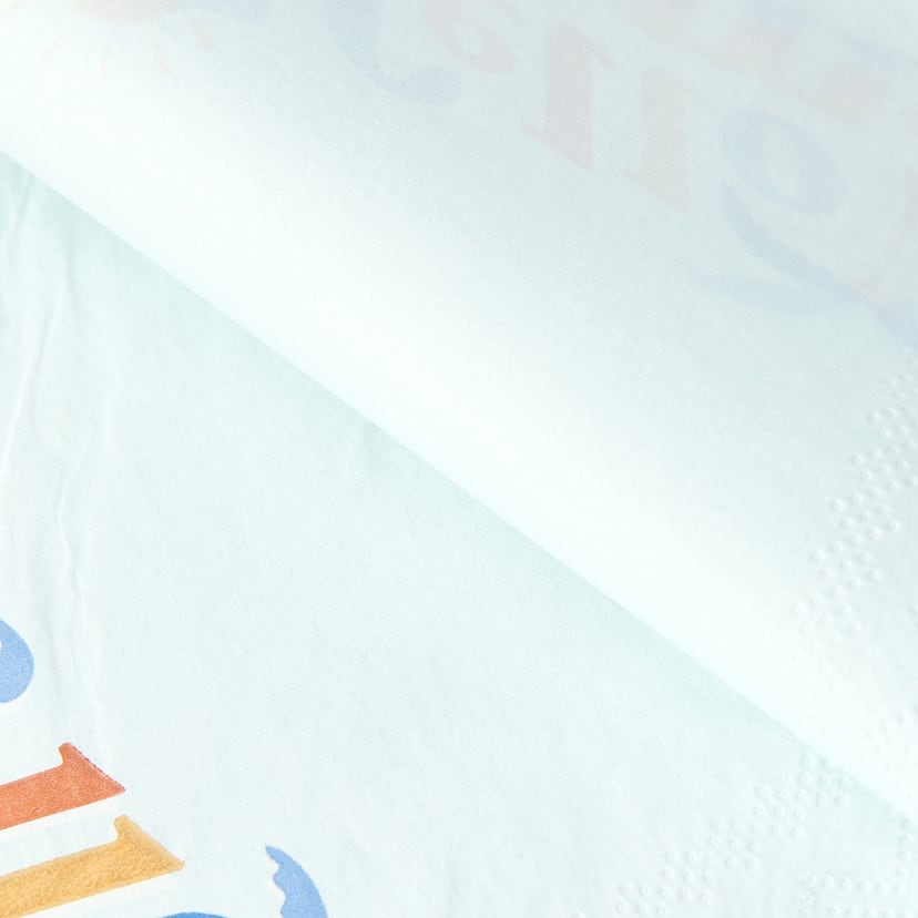 20 Pack Summer Napkins Kmart