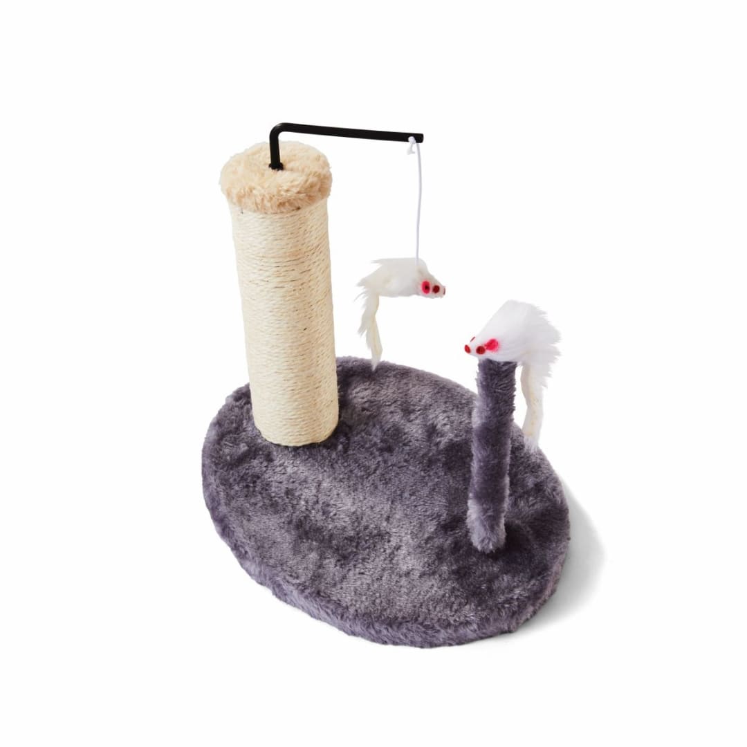 Cat Scratcher With Teasers Kmart