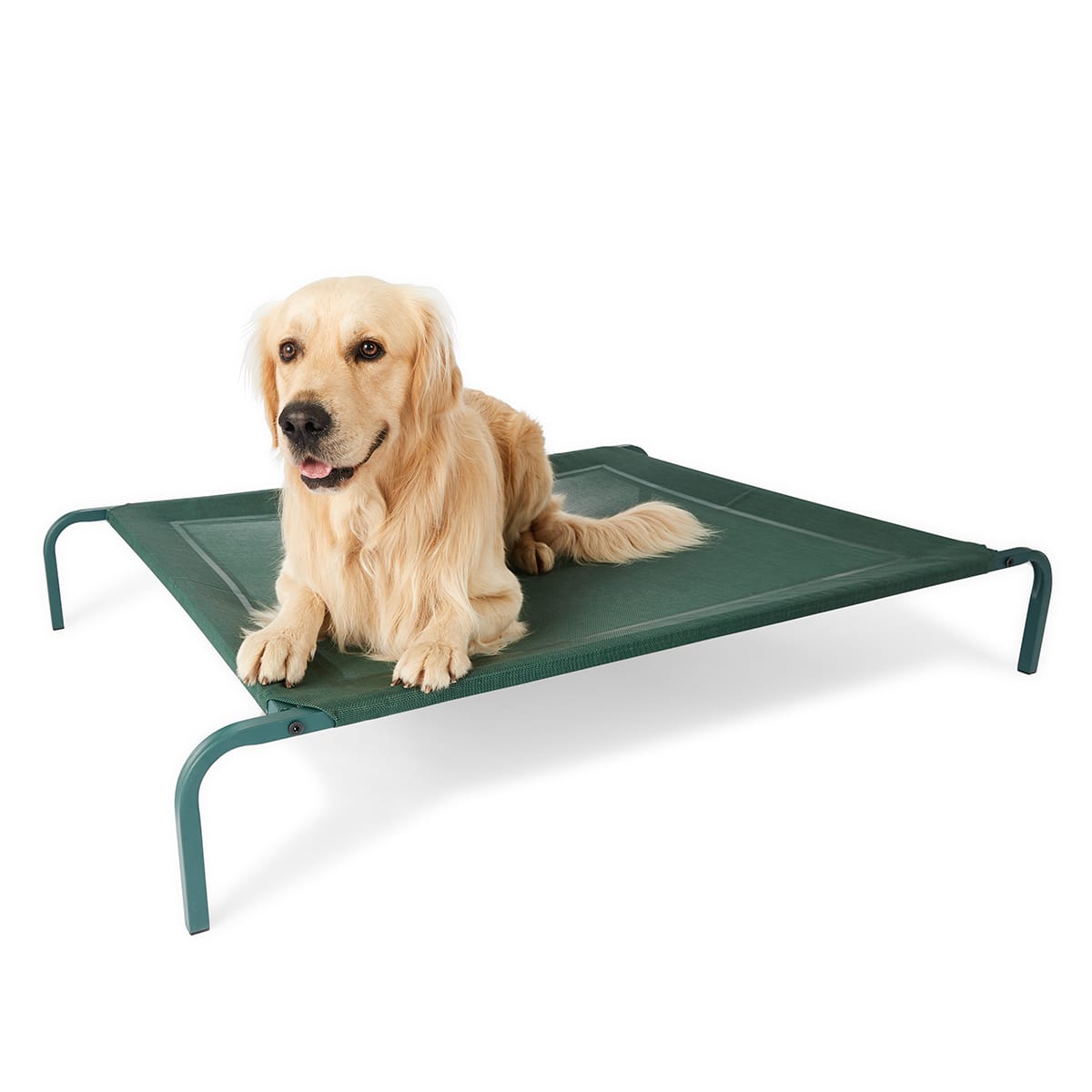 Pet Bed Elevated Large Kmart NZ