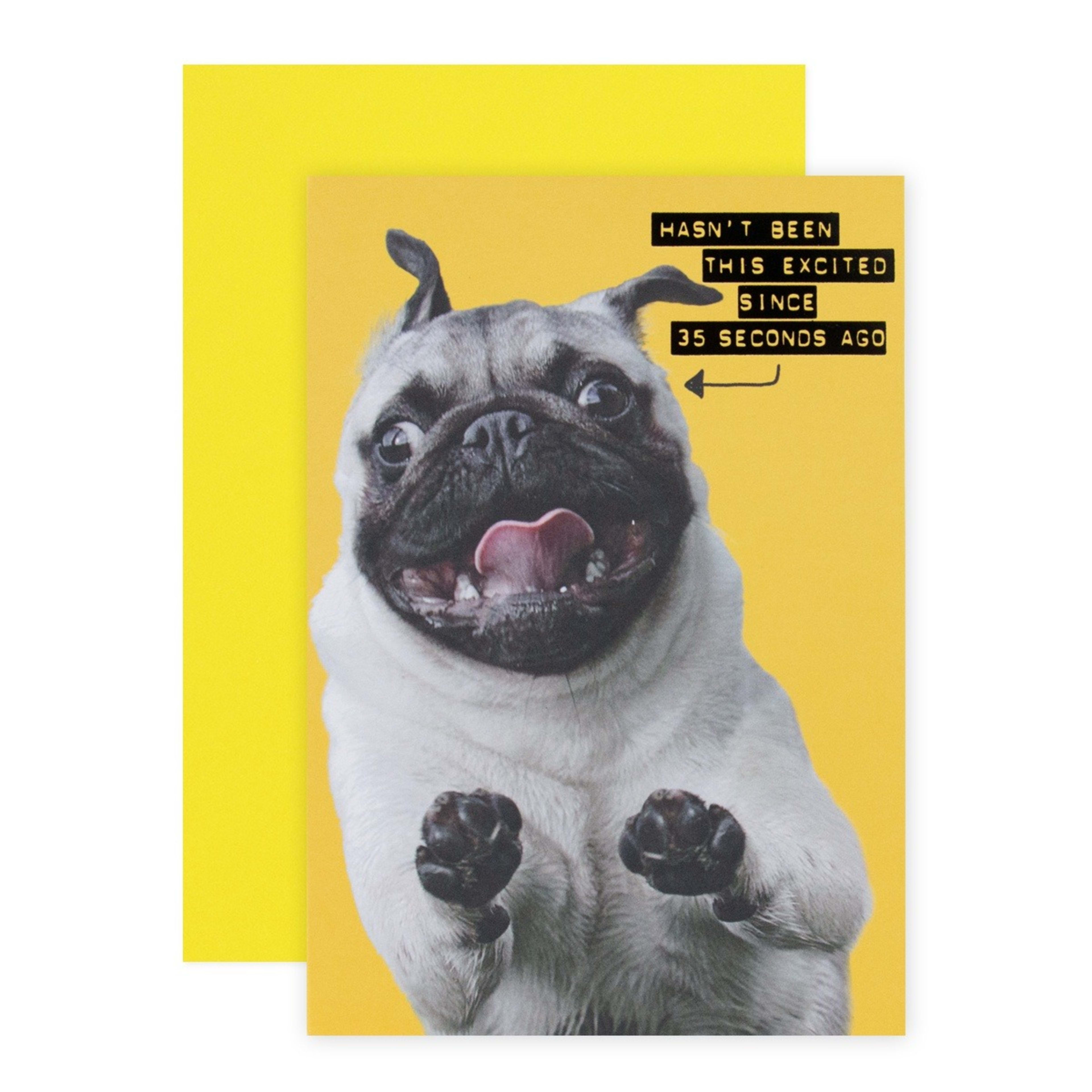 1 Connections from Hallmark Birthday Card - Excited Pug
