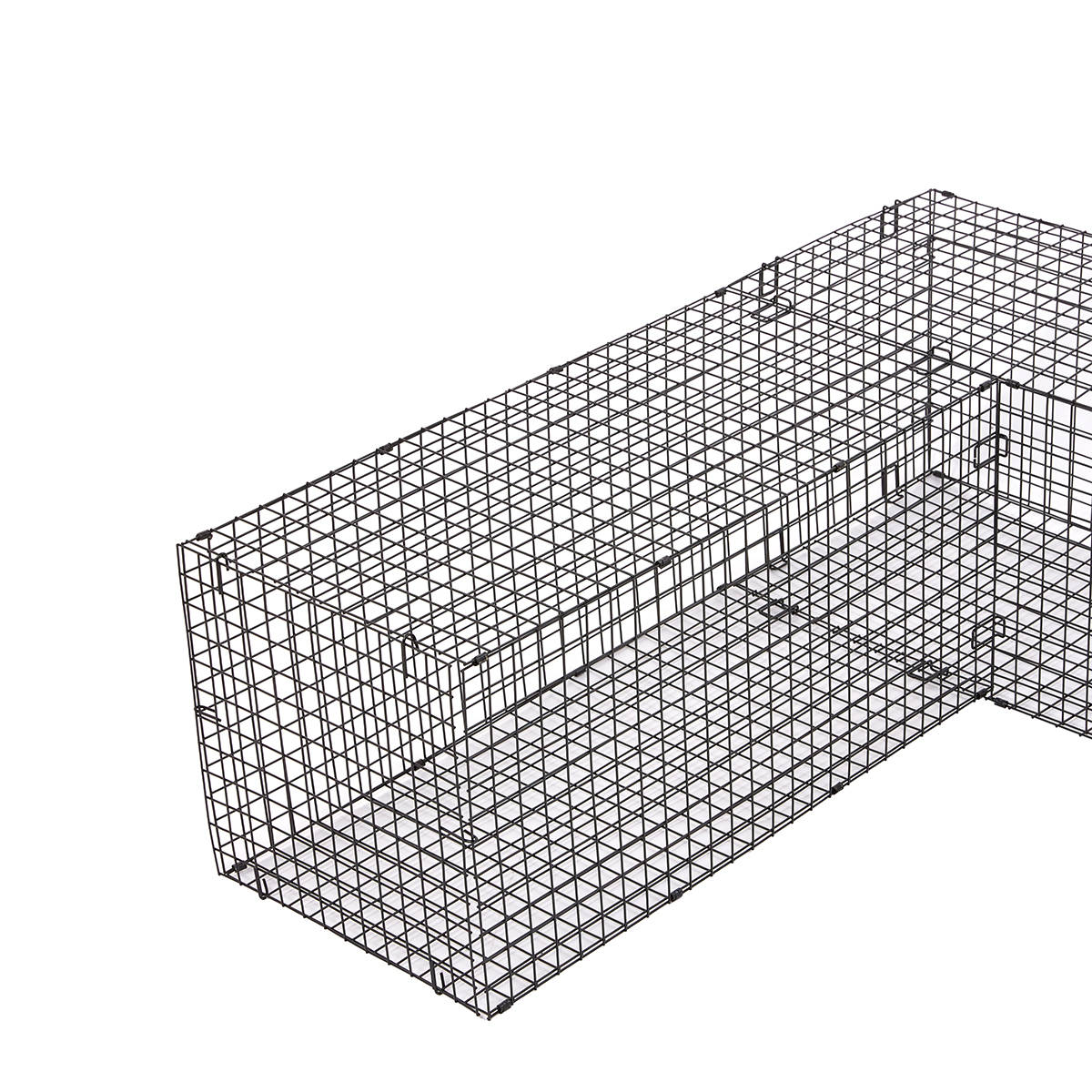 che light for ball python