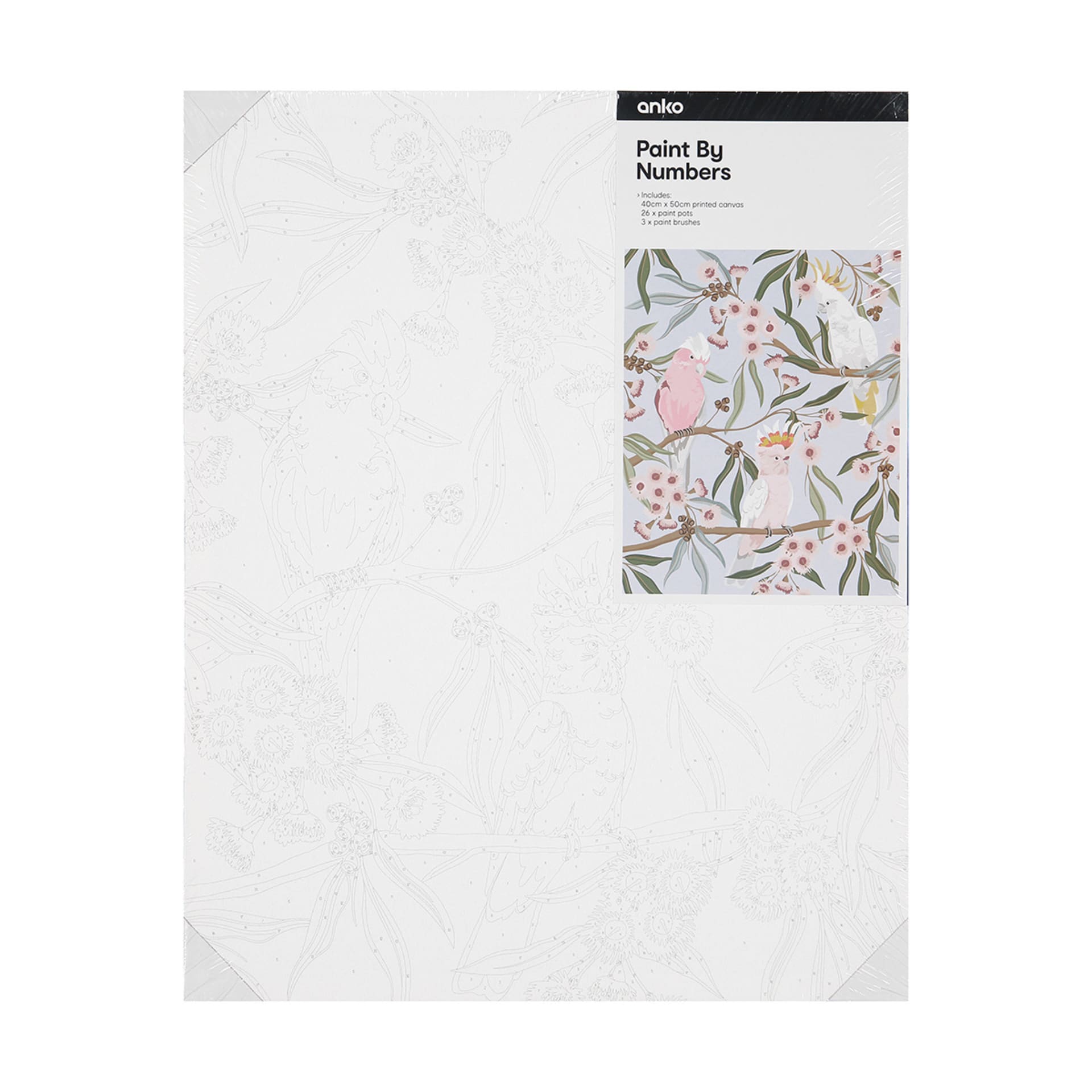 Paint by Numbers Australian Birds Kmart