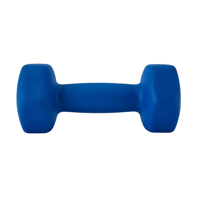 5kg Dumbbell - Kmart