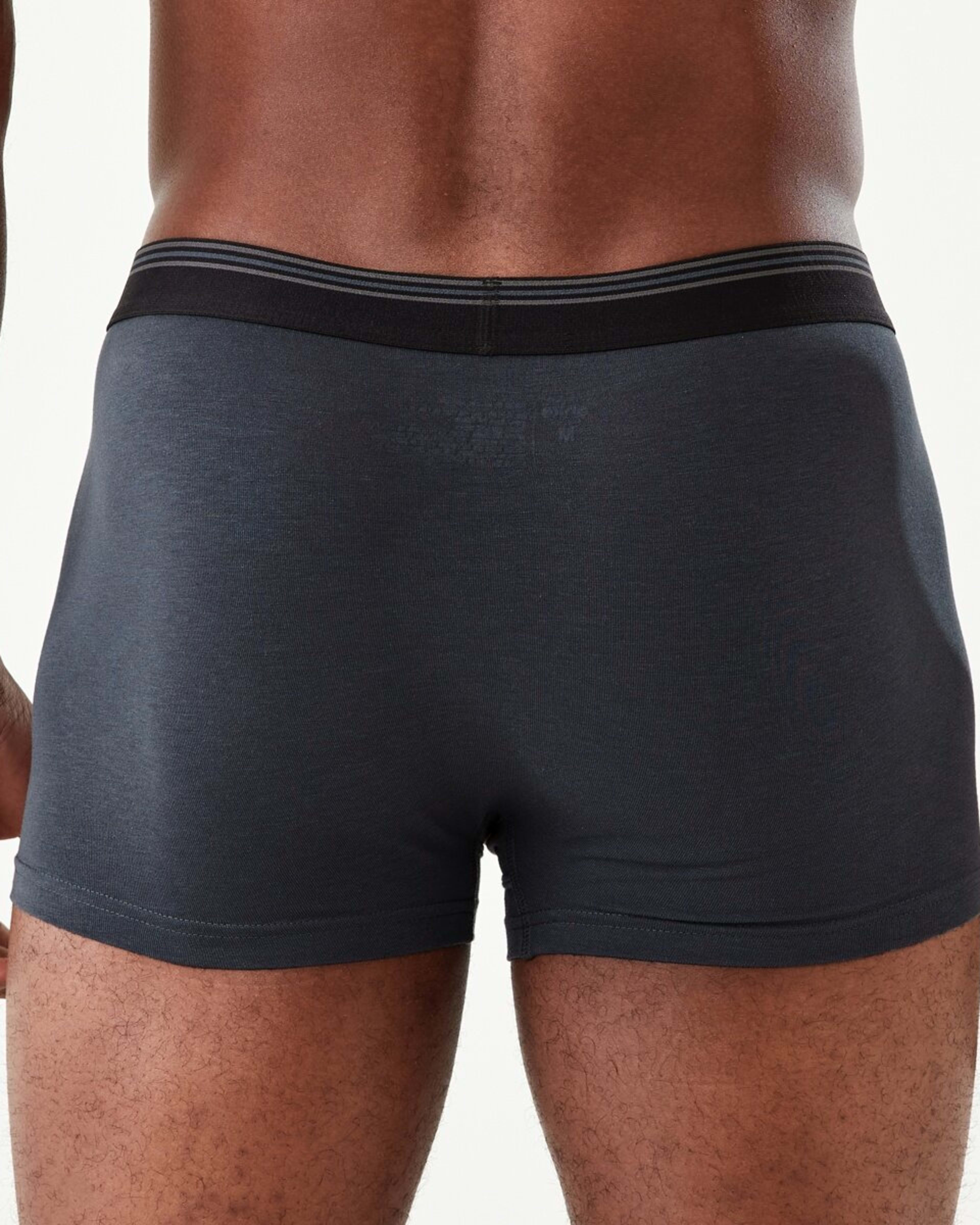 3 Trunks Ombreblu, 3 of 4