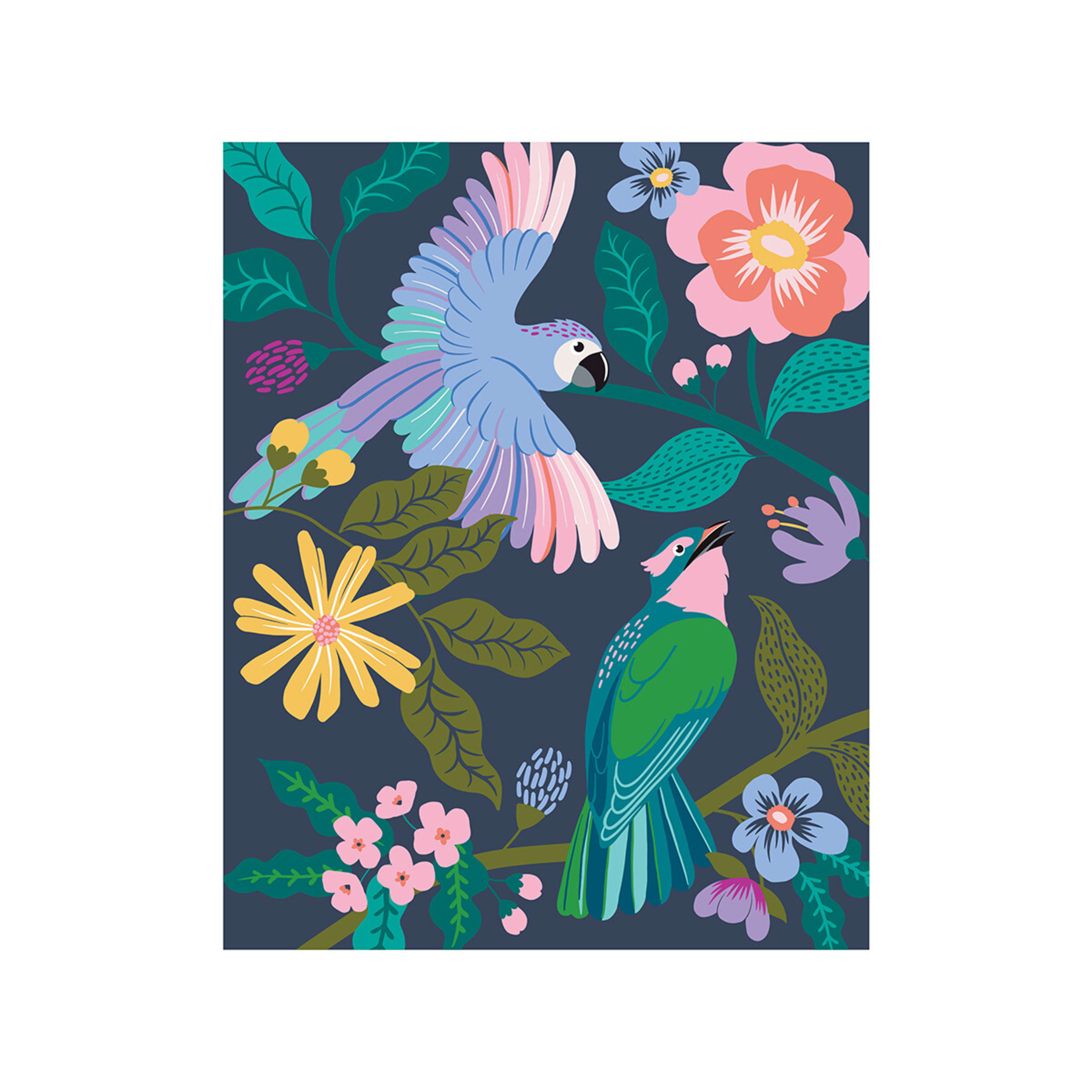 Paint by Numbers - Birds - Kmart