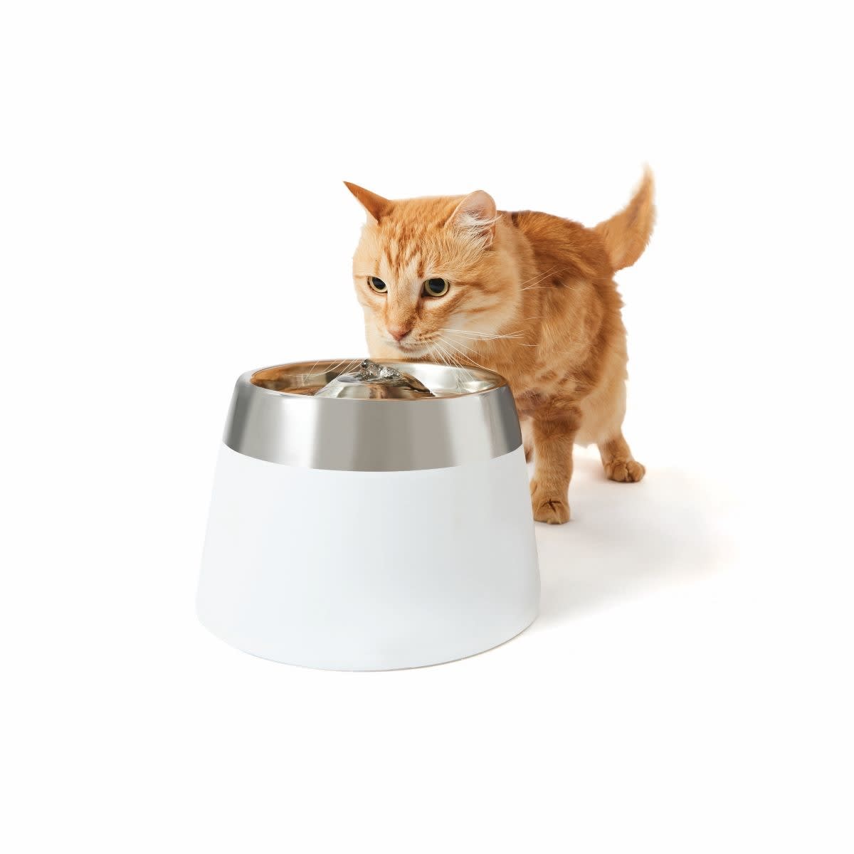 Cat water fountain on sale kmart