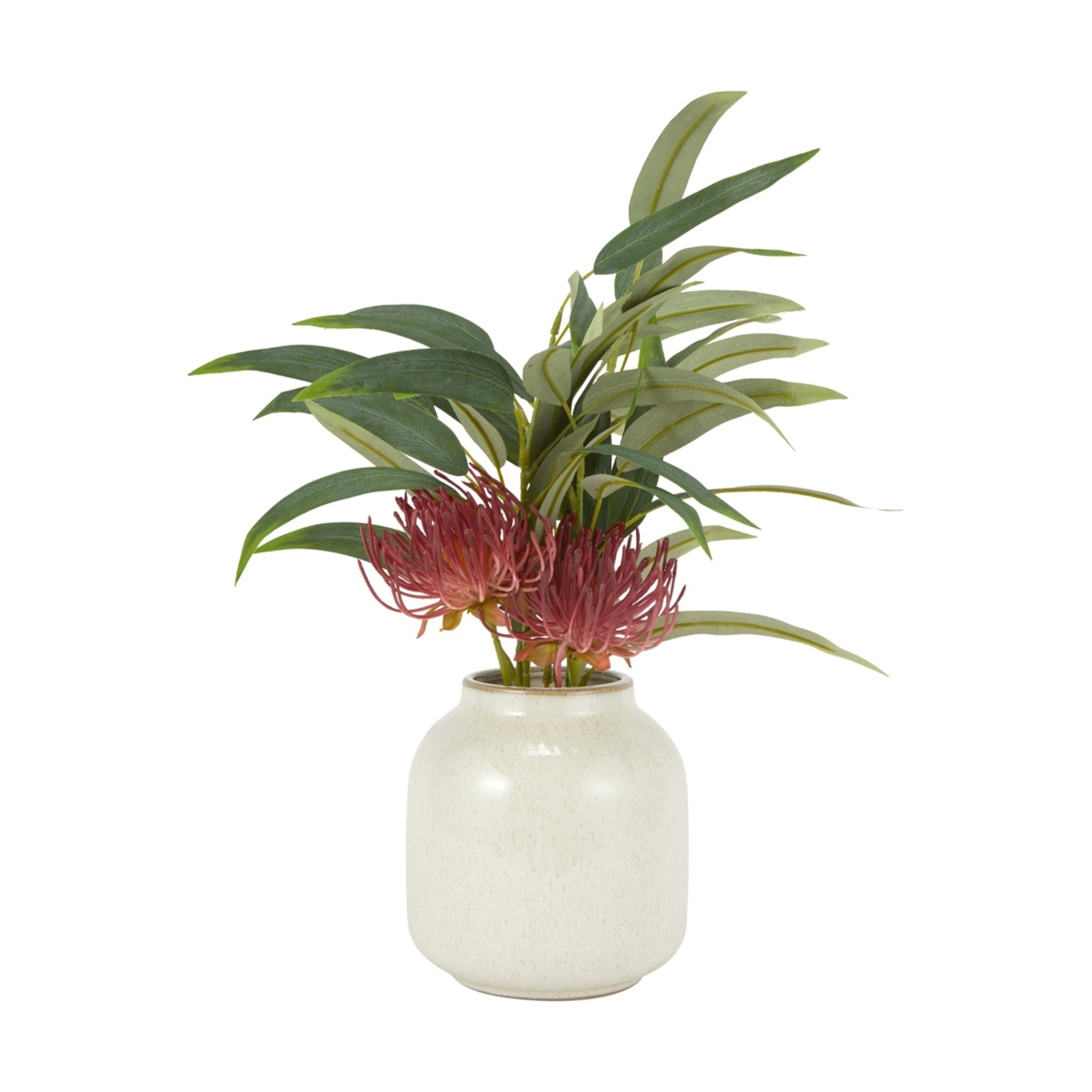 Artificial Red Protea in Vase Kmart NZ