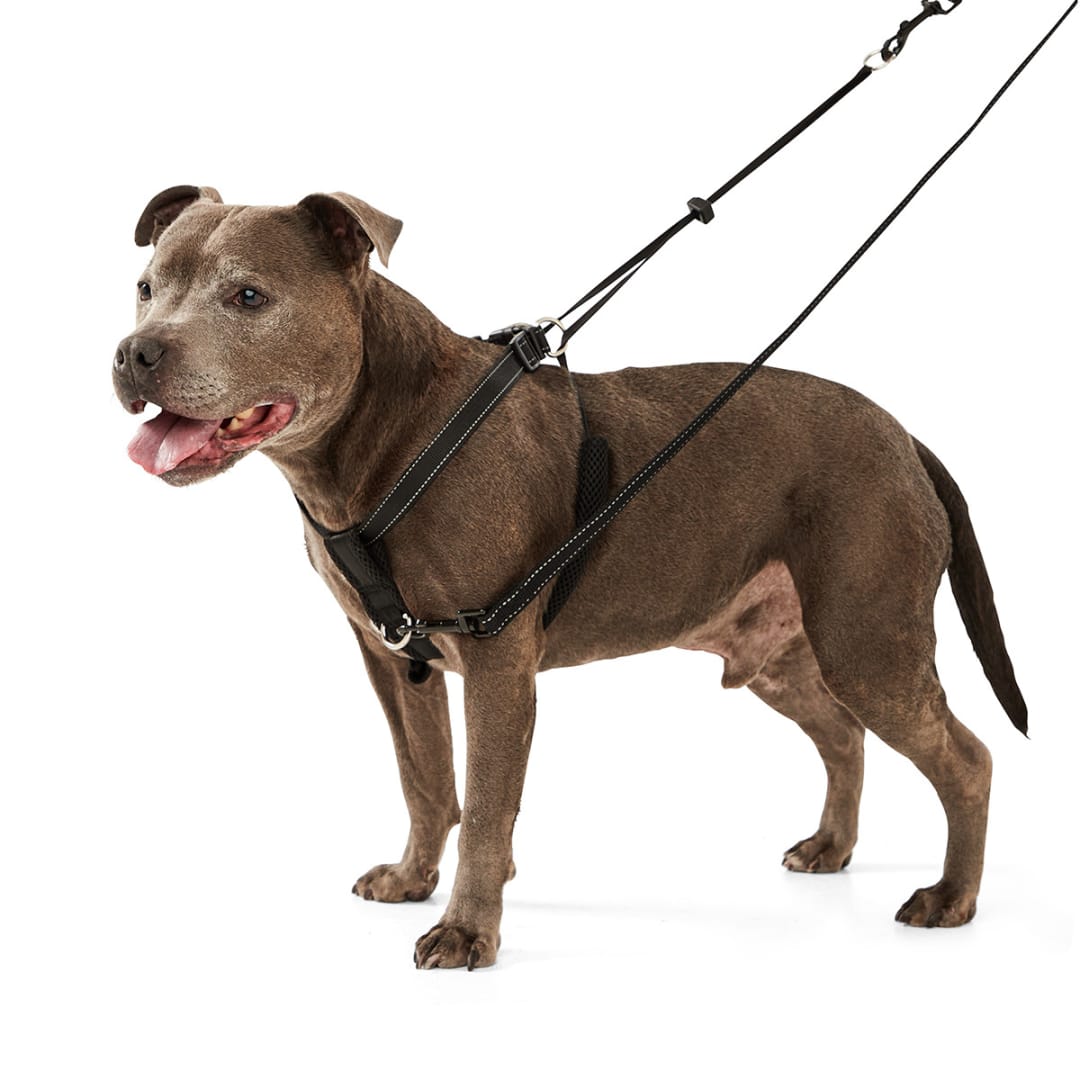 Dog No Pull Harness Medium, Black Kmart