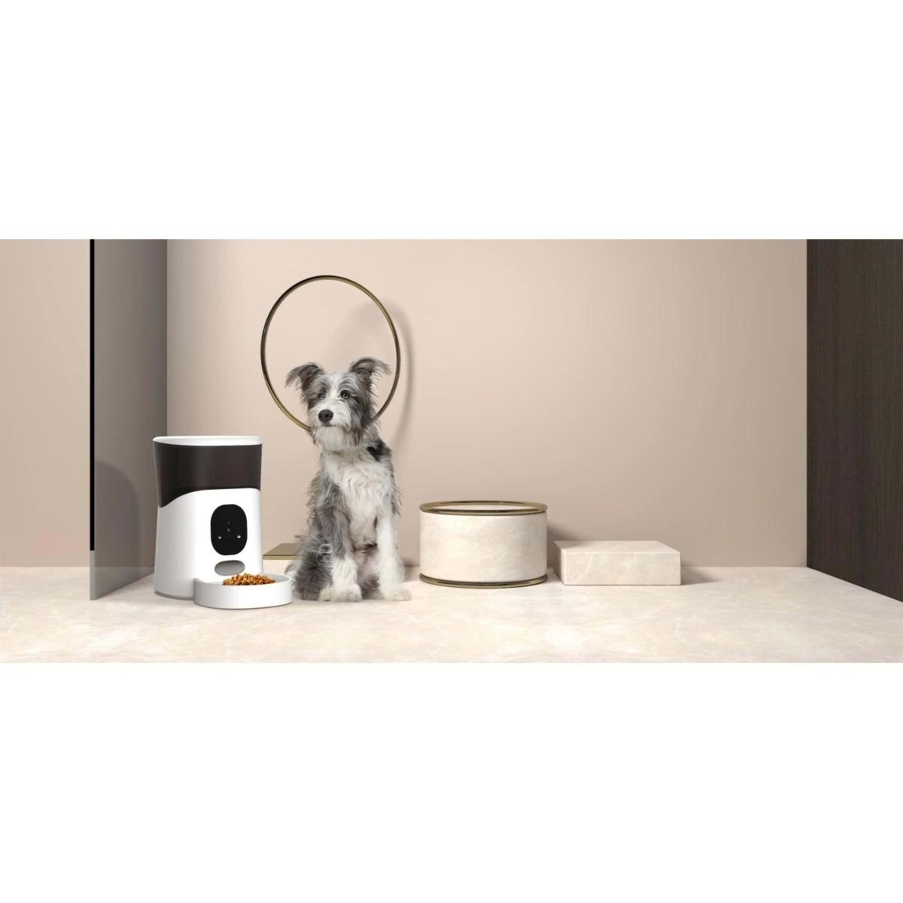 5 5L Pet Feeder with Camera, 5 of 5