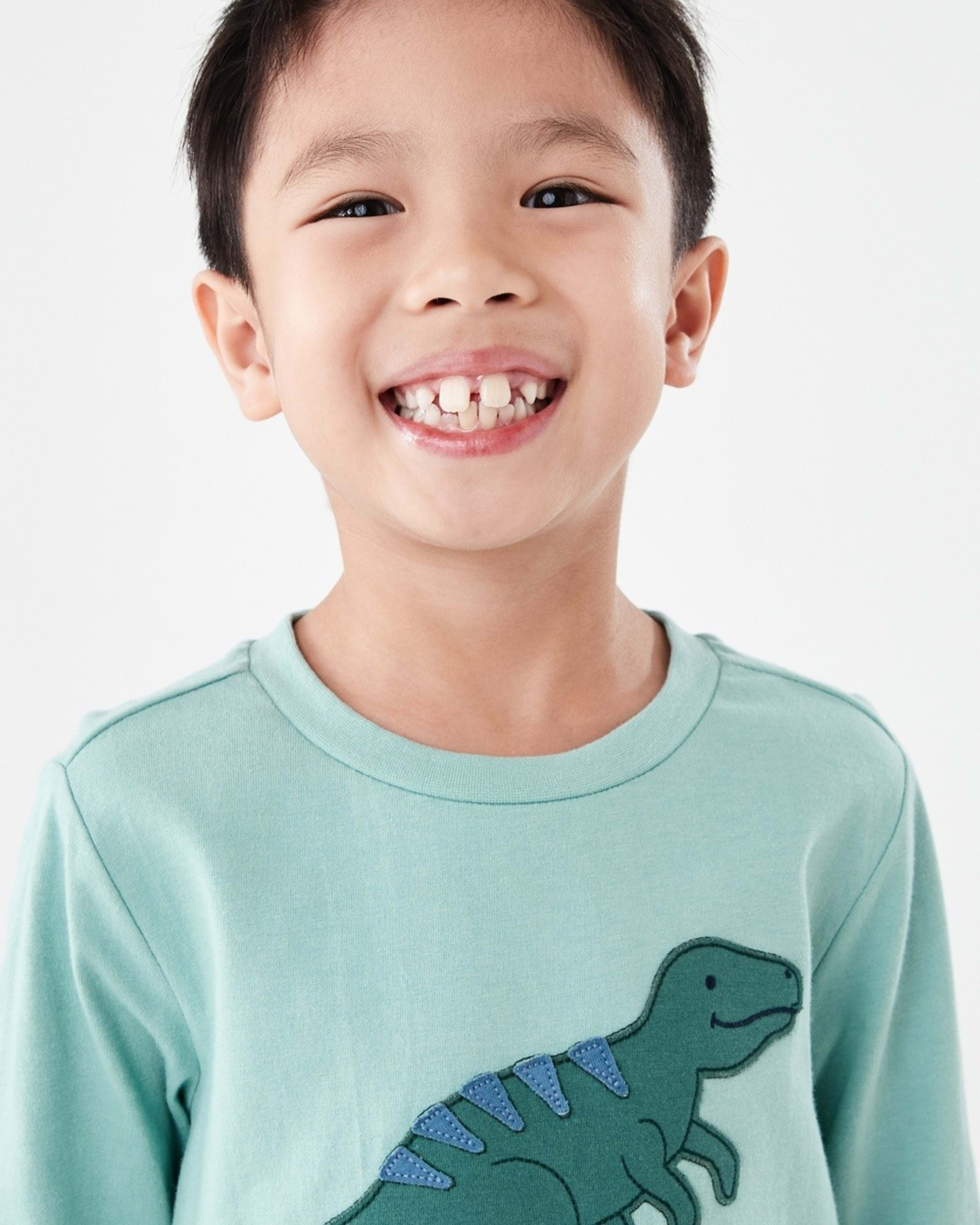 3 Knit Flannel Pyjama Set Grn Dino, 3 of 9