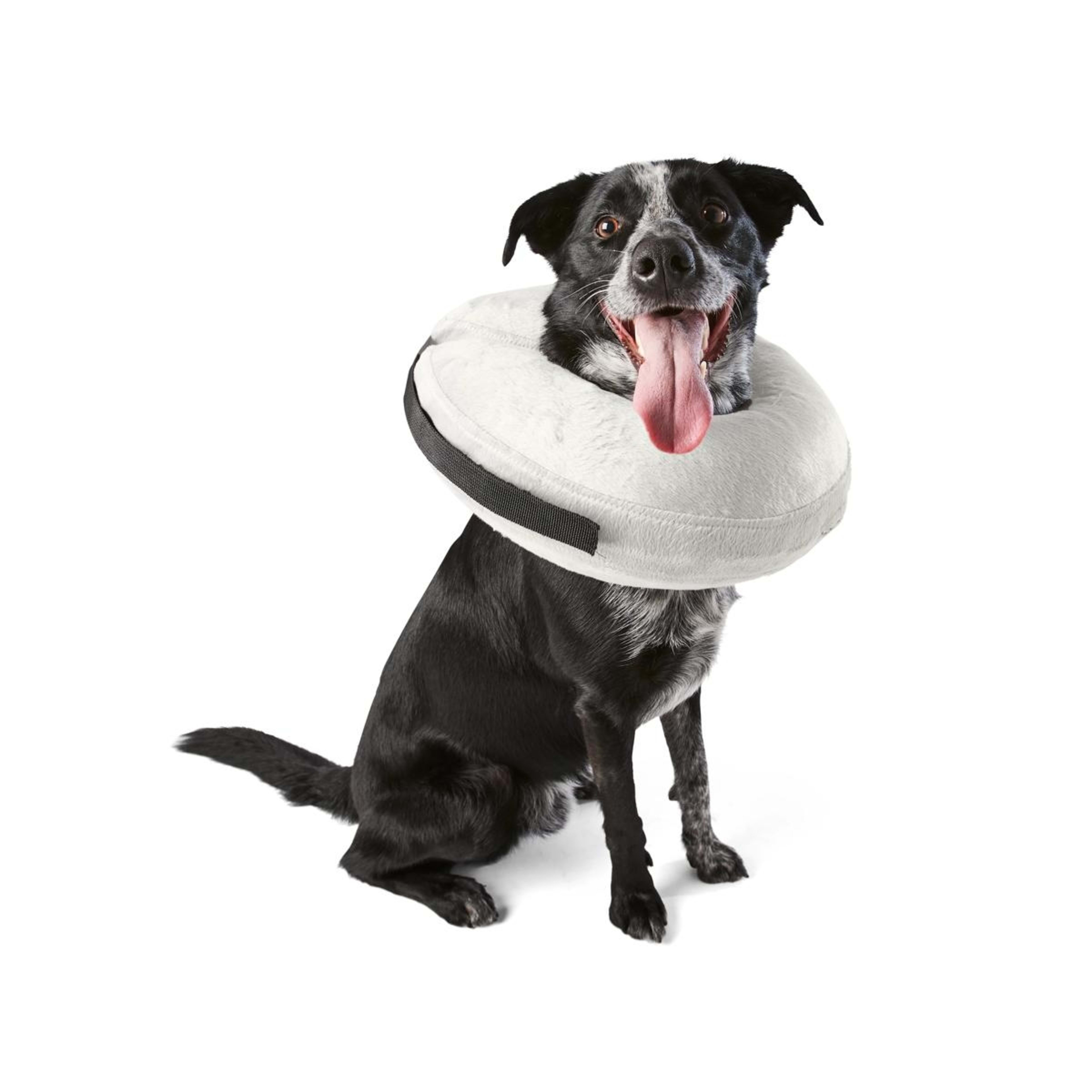 1 Inflatable Collar - Large to Extra Large, 1 of 9