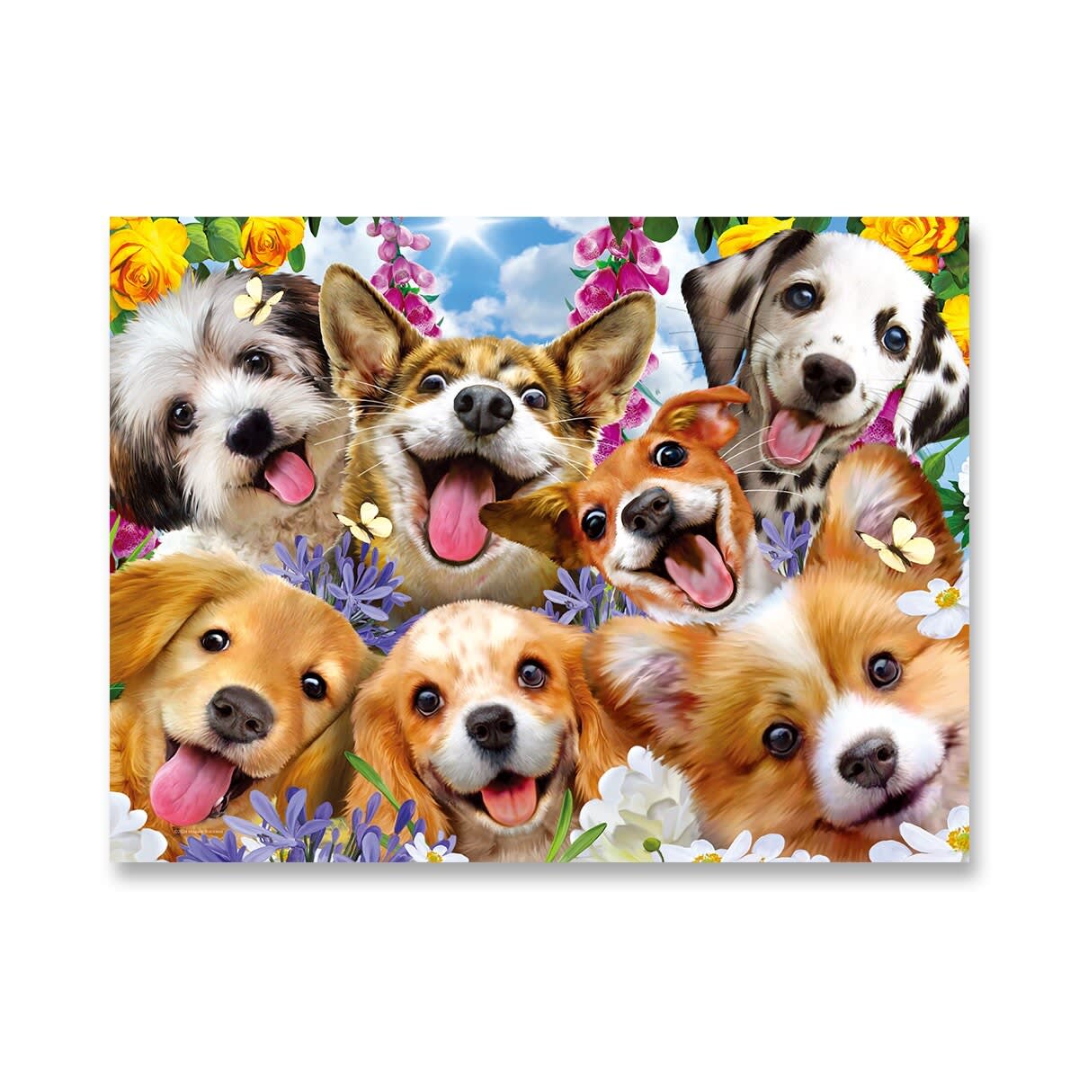 kmart dog puzzle