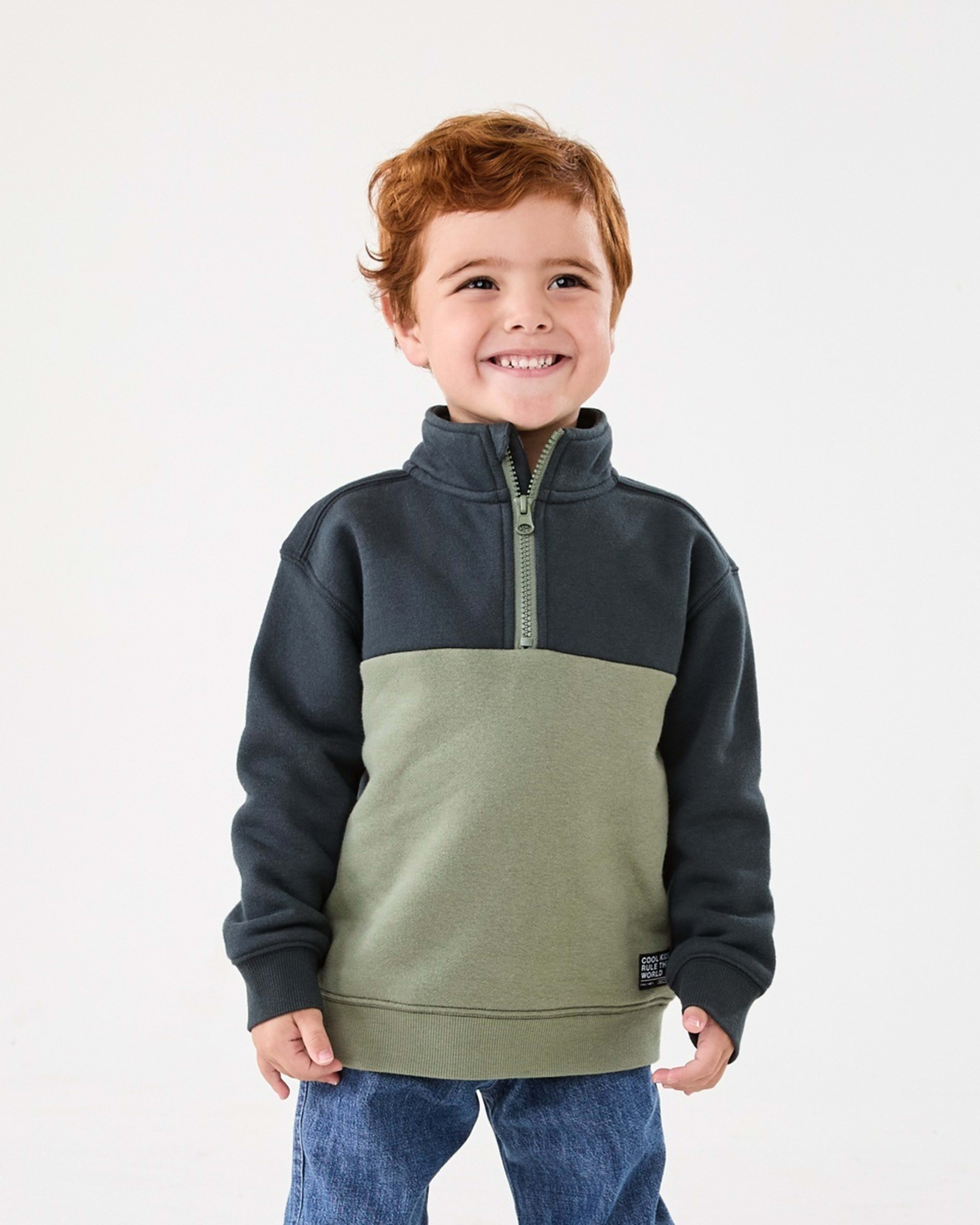 1 Quarter Zip Sweatshirt Wood Grey