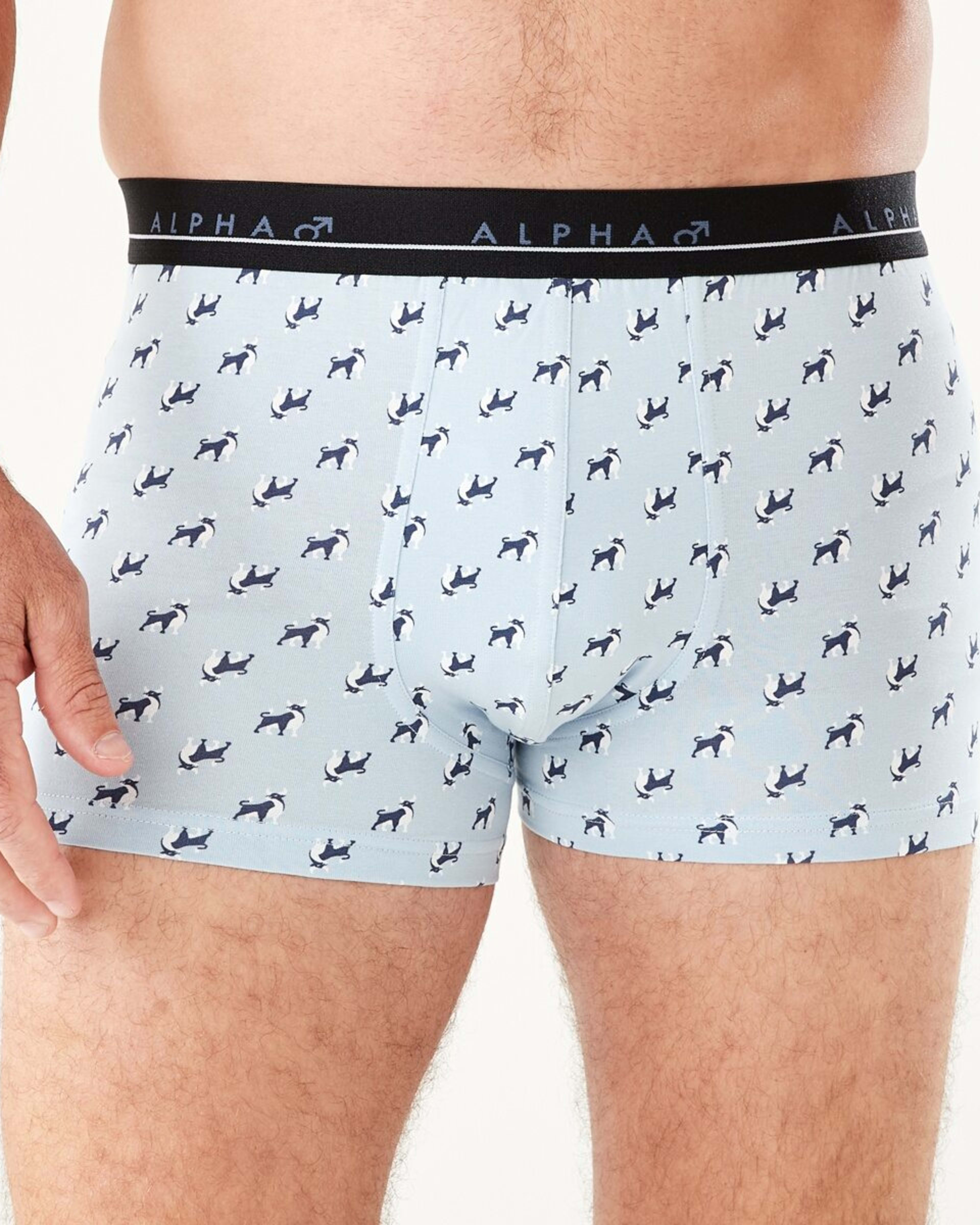 4 5 Pack Trunks BULL ICONS, 4 of 10