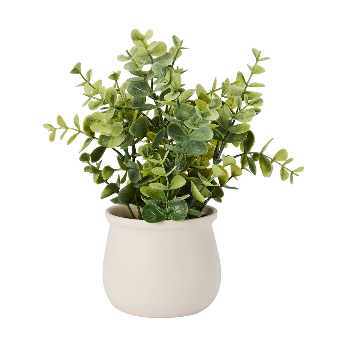 Fake plants online kmart