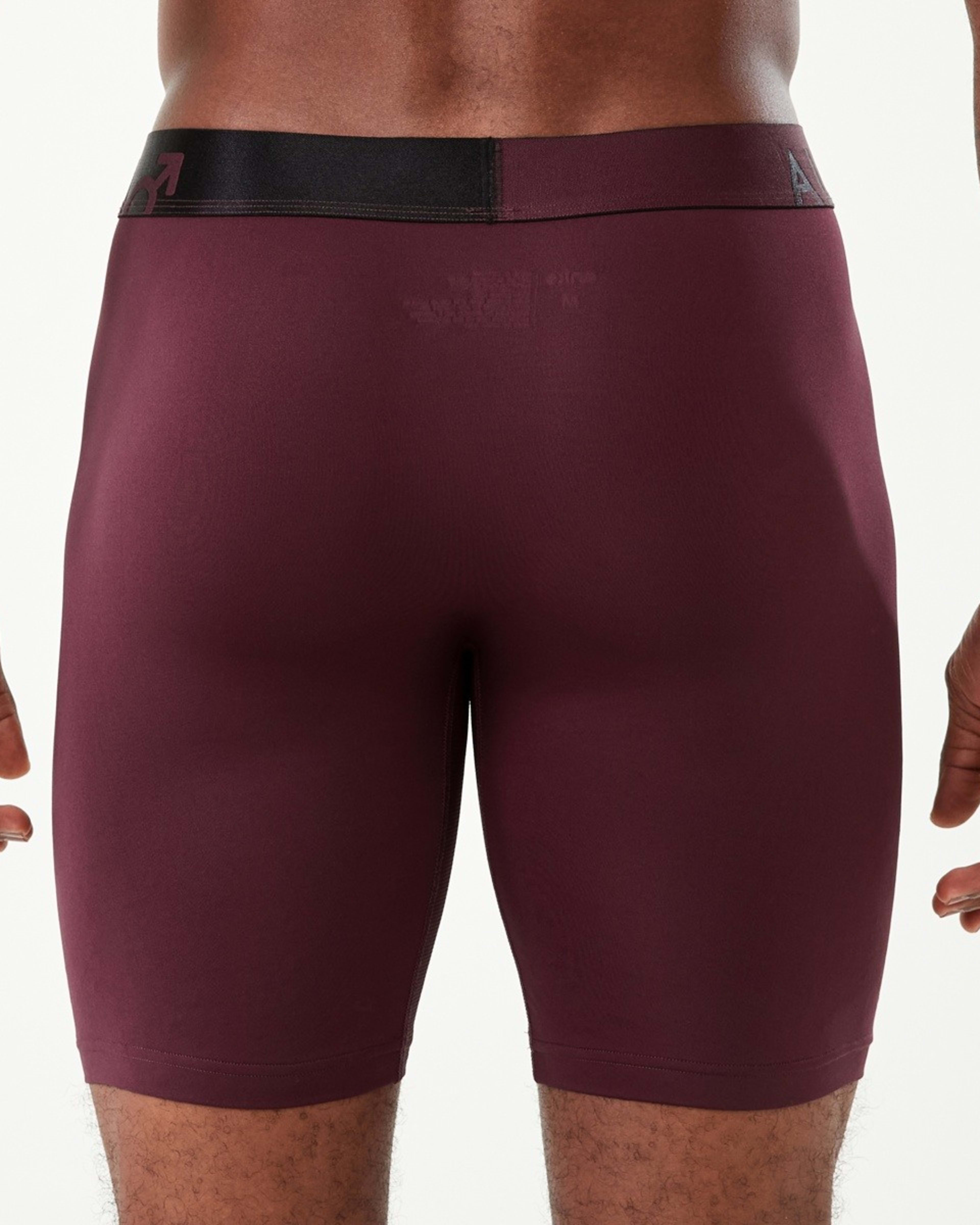 3 Mesh Insert Long Trunks Red Royale, 3 of 4