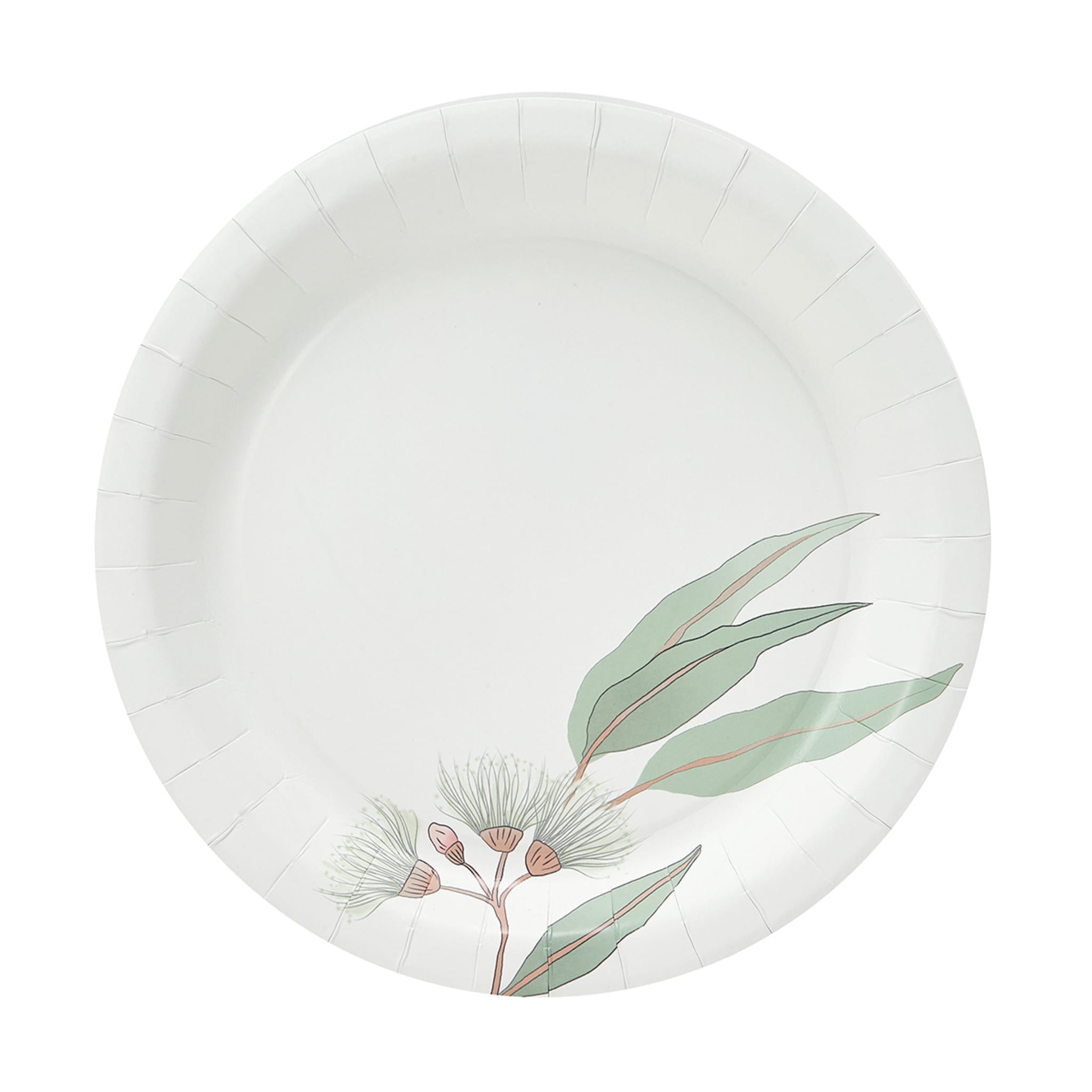 16-pack-botanical-paper-plates-kmart