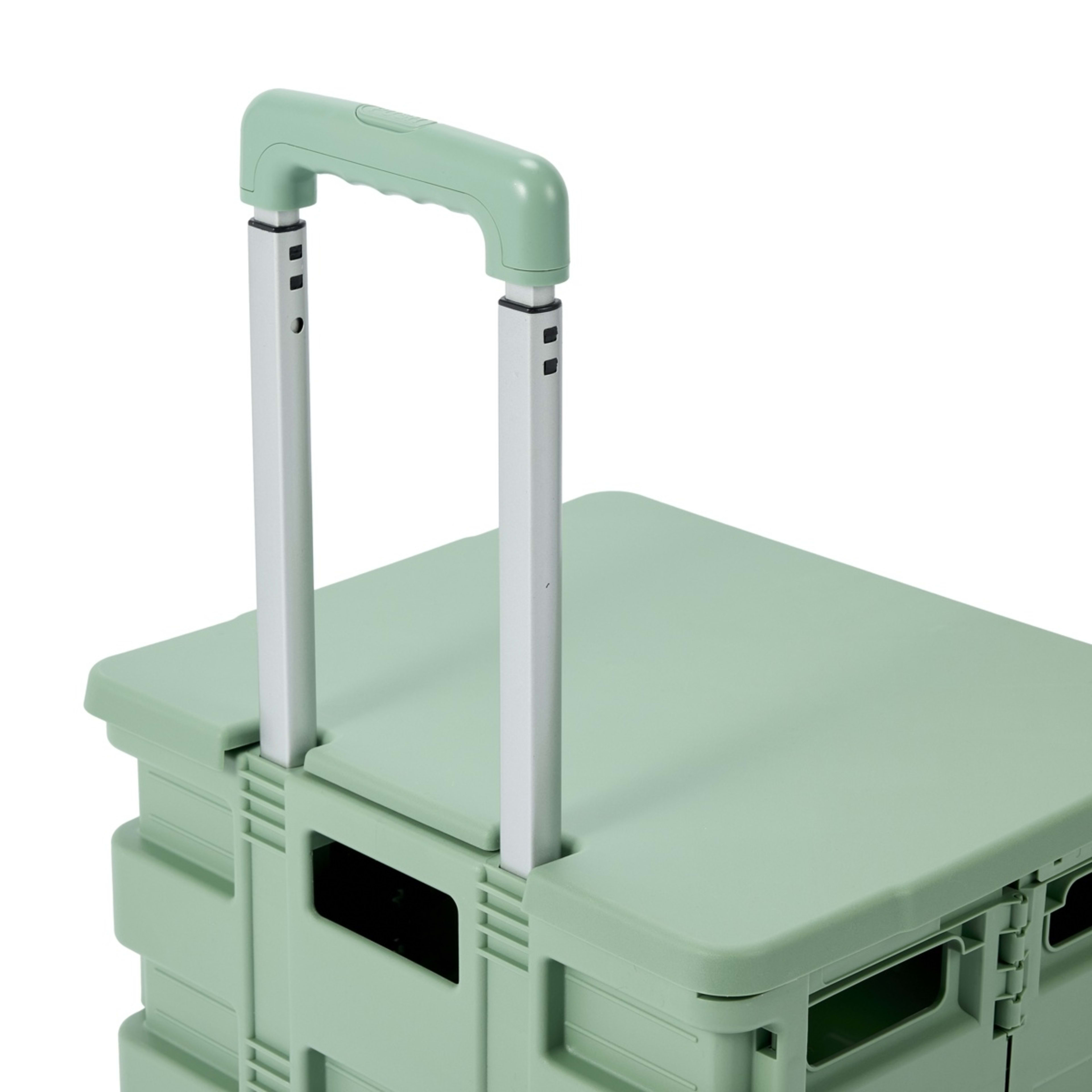 4 Collapsible Trolley Box - Sage, 4 of 10