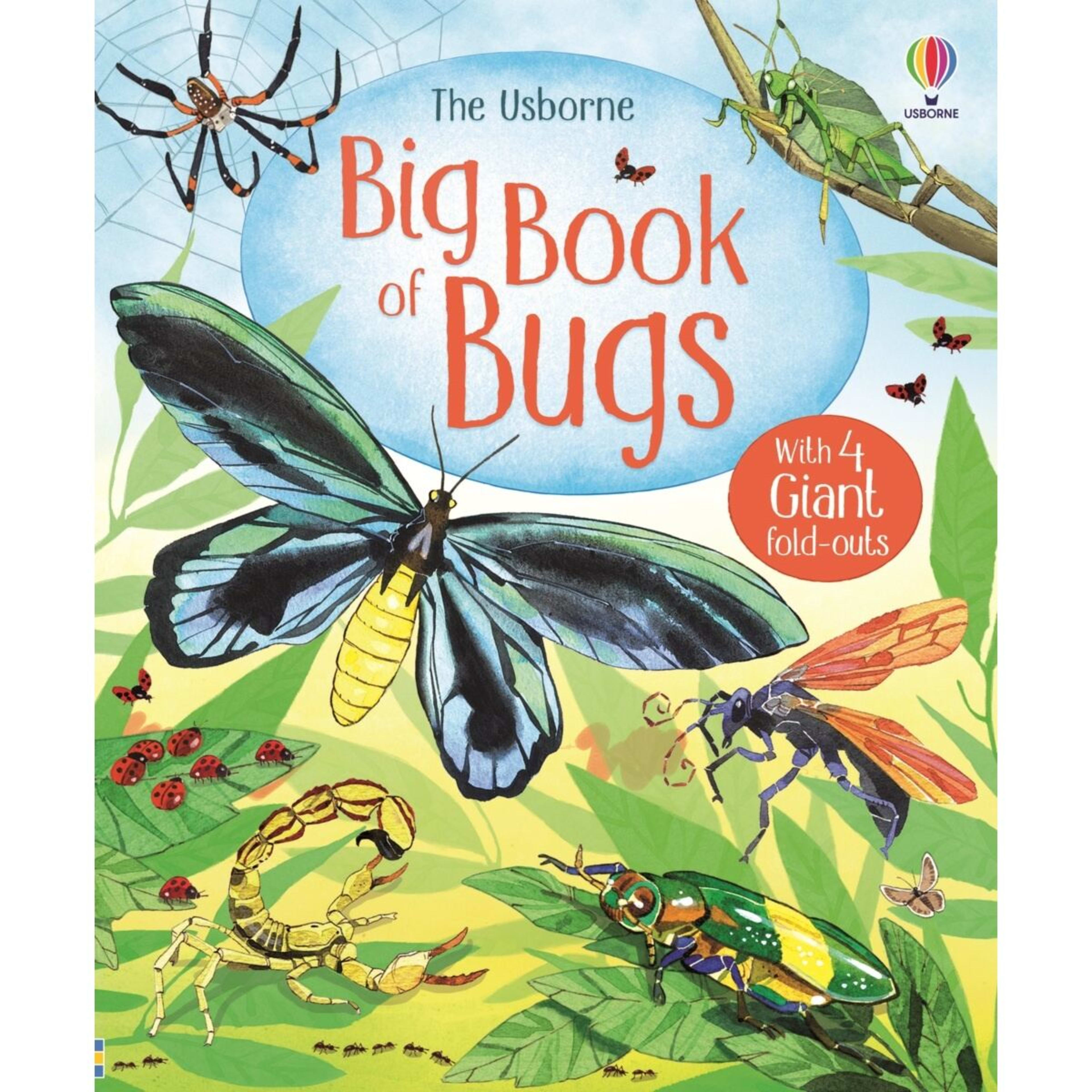 1 The Usborne Big Book of Bugs - Book