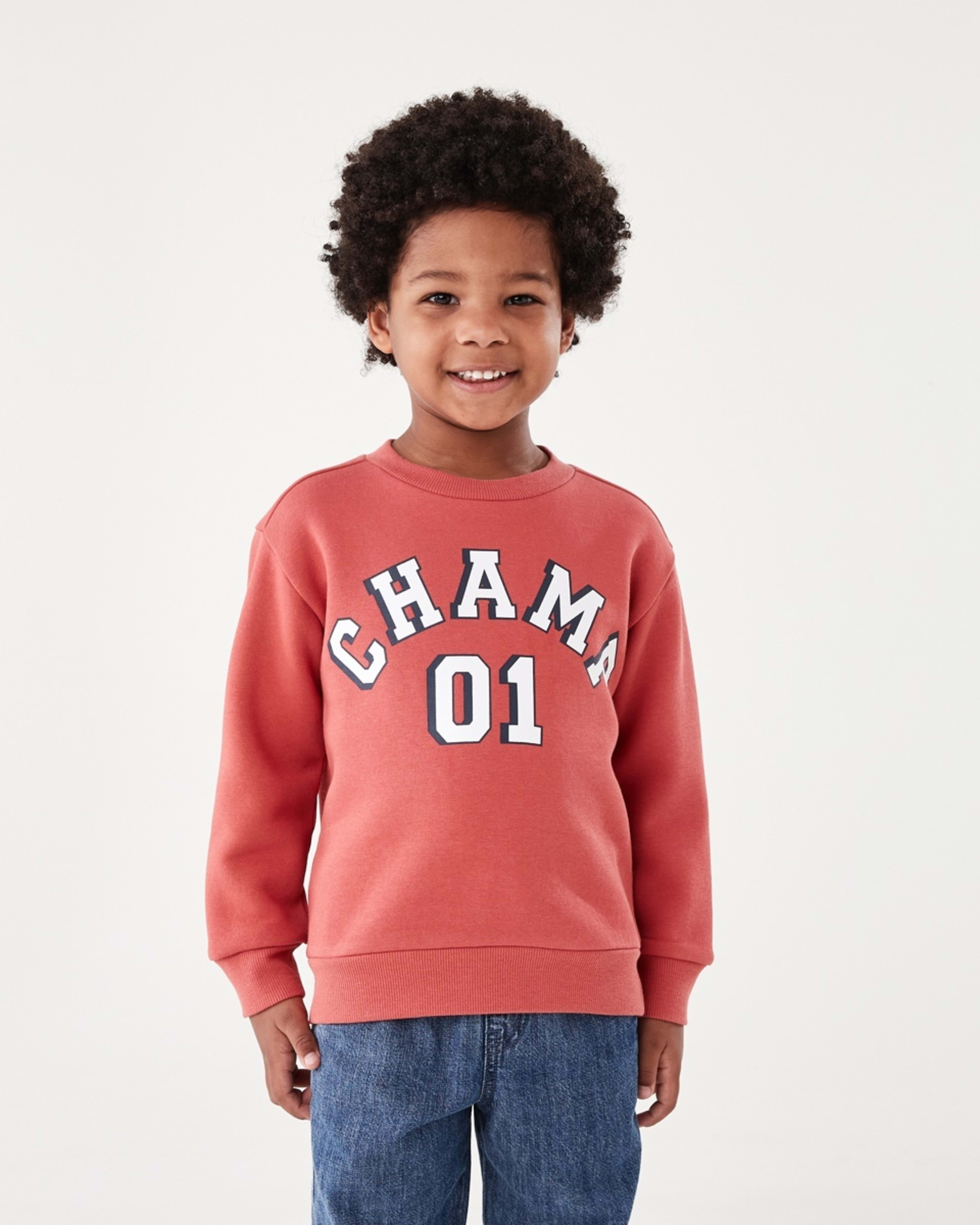 1 Print Crew Neck Sweatshirt Red Varsit