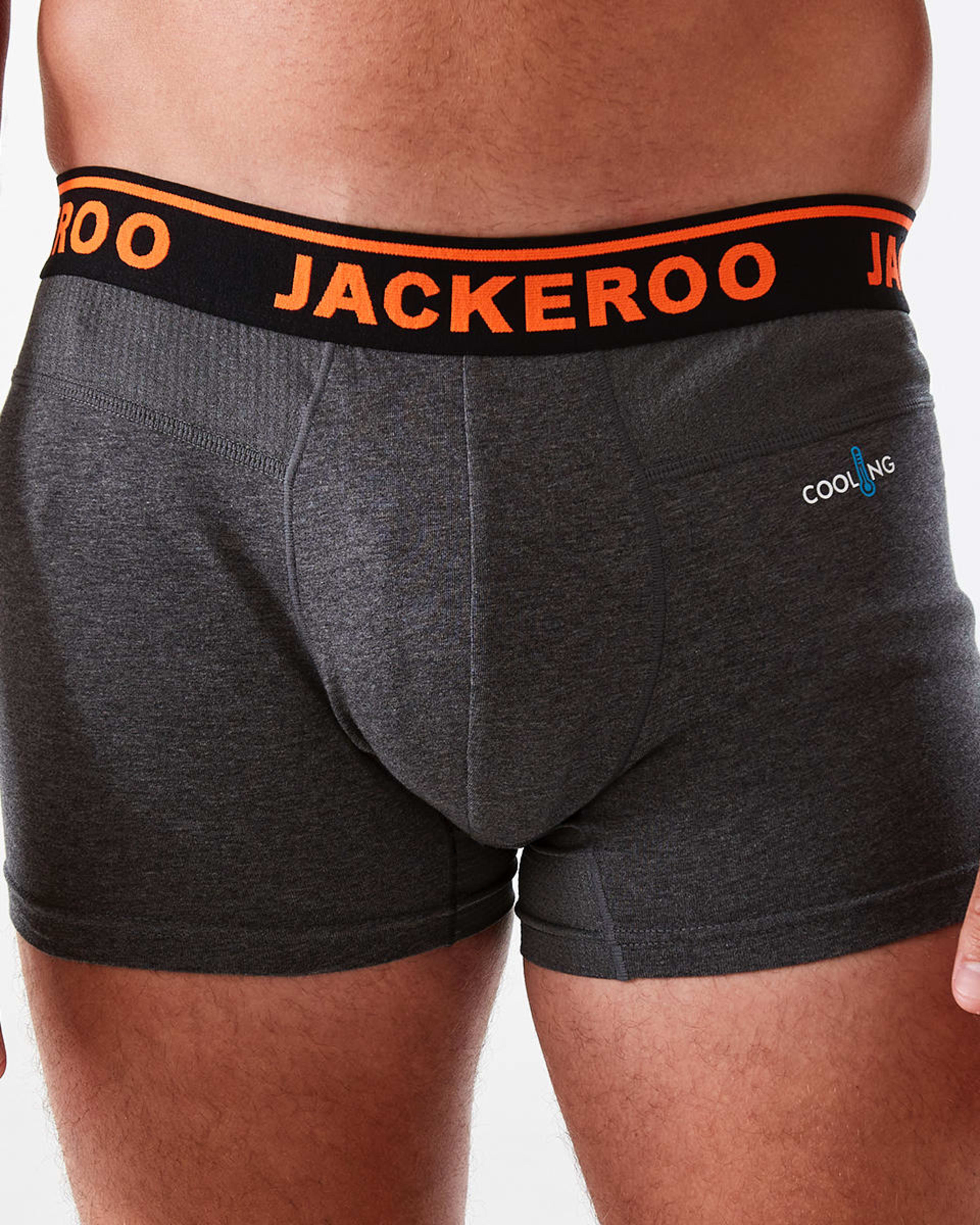 2 3 Pack Cooling Trunks JACKEROO PRIMARIES LONG, 2 of 8