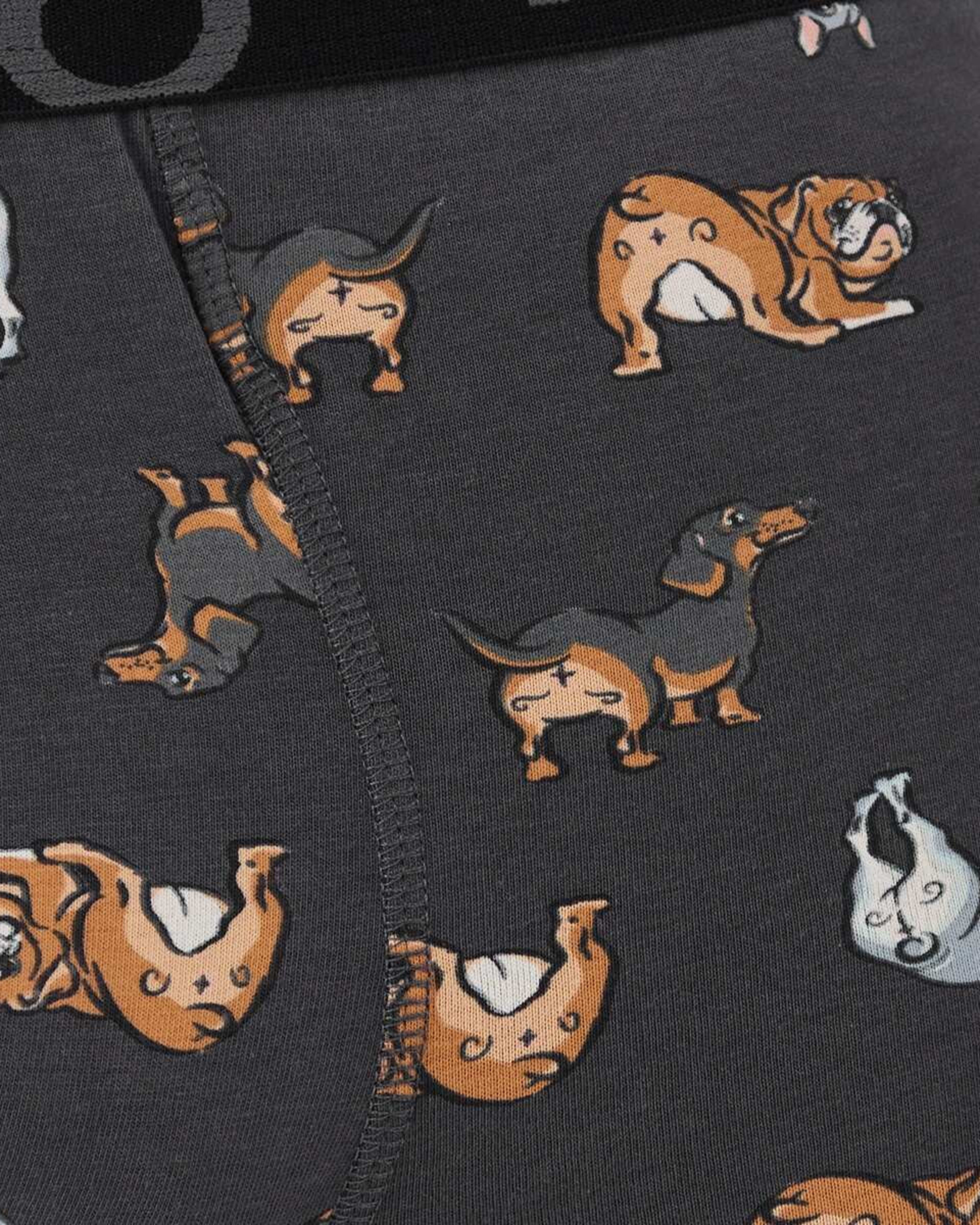 8 3 Pack Fly Front Print Trunks Hey Pups, 8 of 8