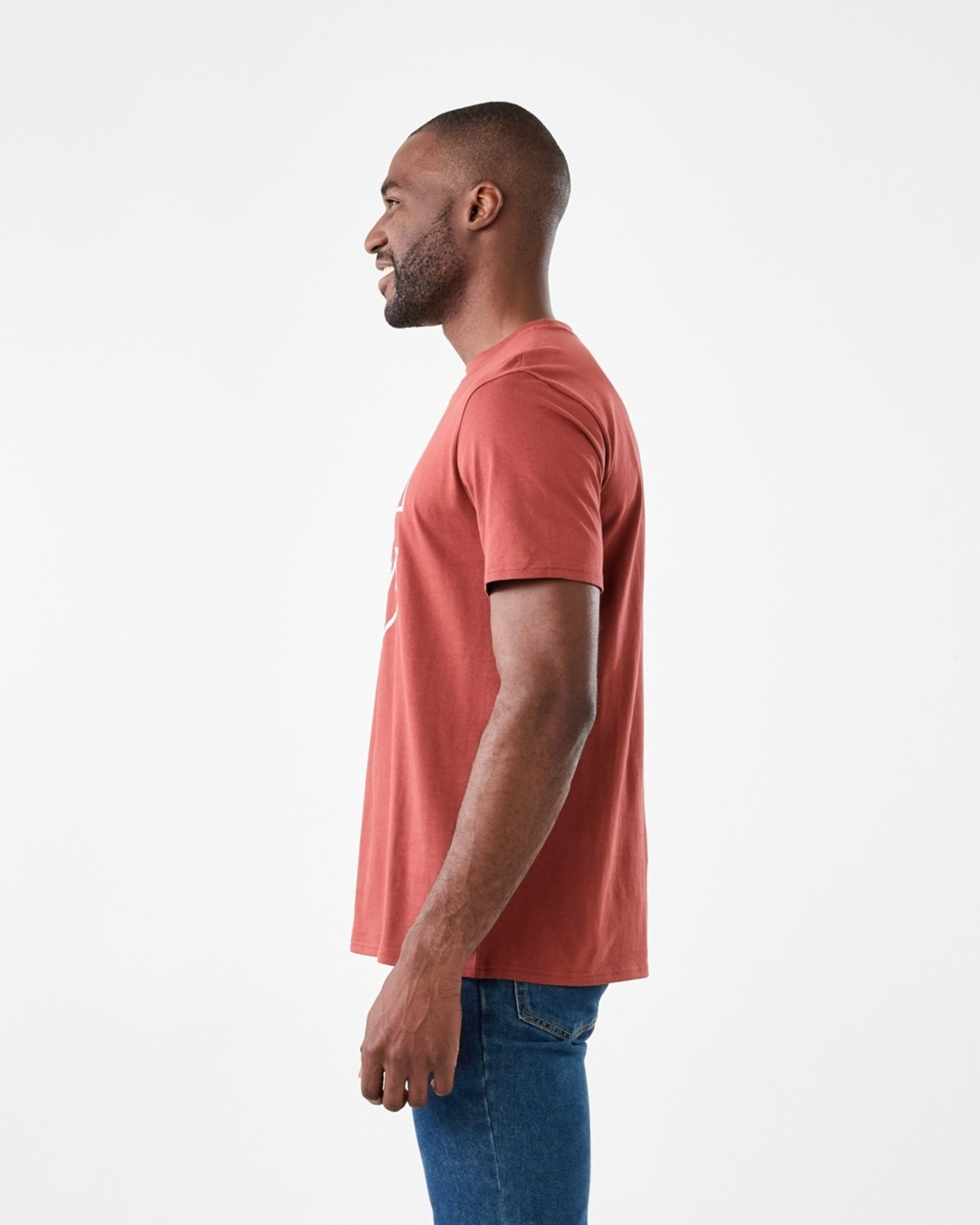 2 Print T-shirt Red Nutmeg, 2 of 5