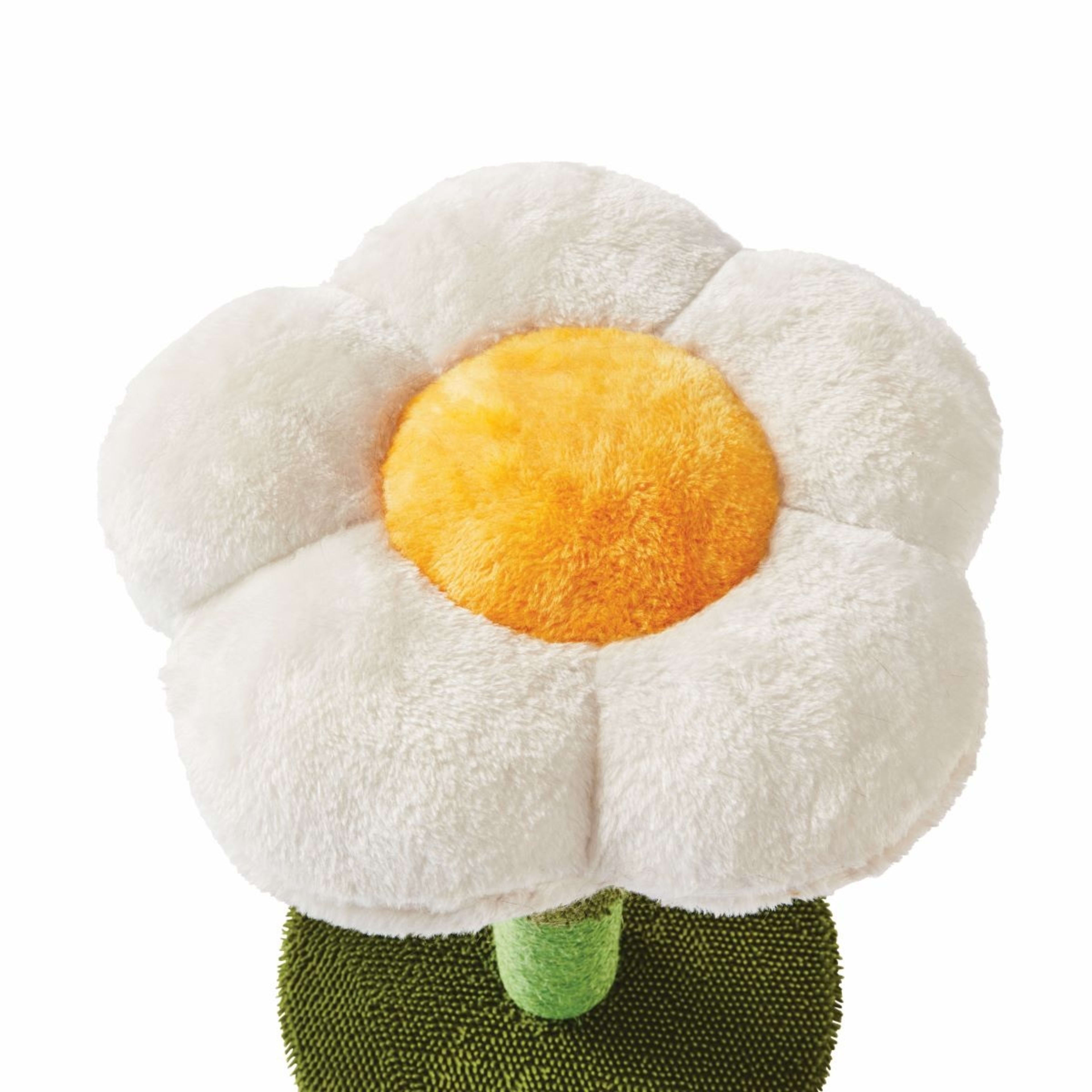 Cat Scratcher Flower Kmart