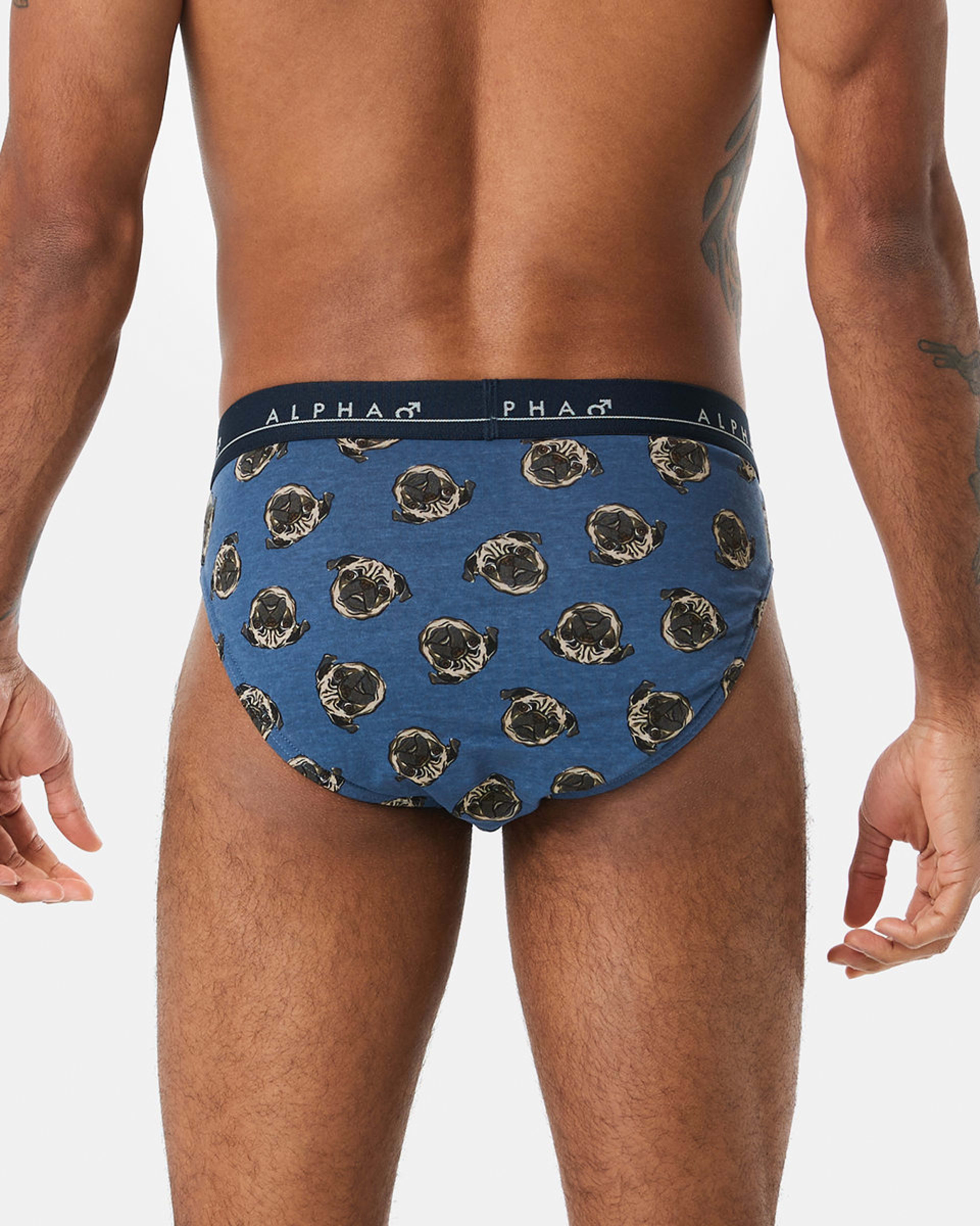8 5 Pack Printed Briefs Dogshead, 8 of 10