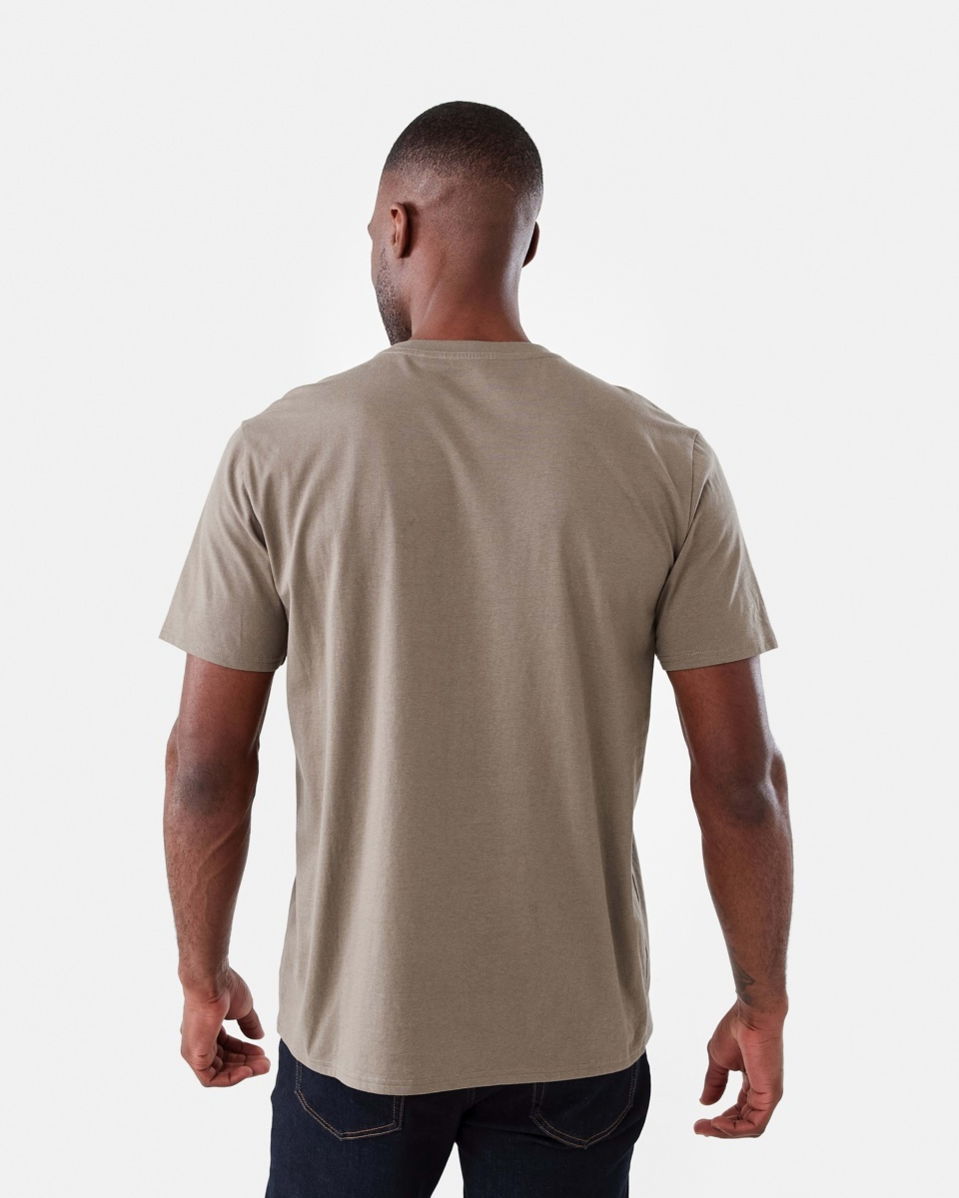 3 Print T-shirt Brn Eagle, 3 of 5
