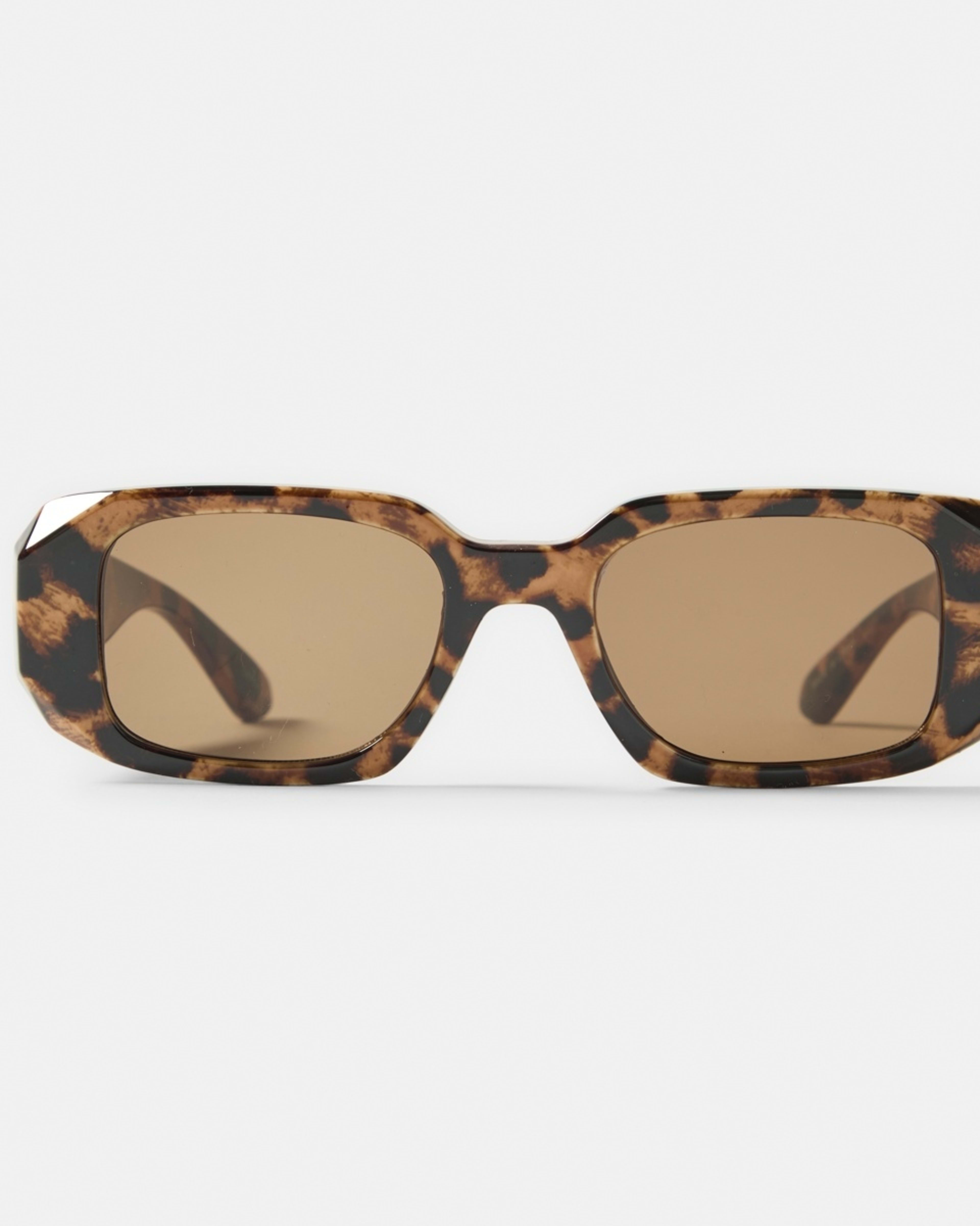 1 Rectangle Classic Sunglasses Leopard, 1 of 6
