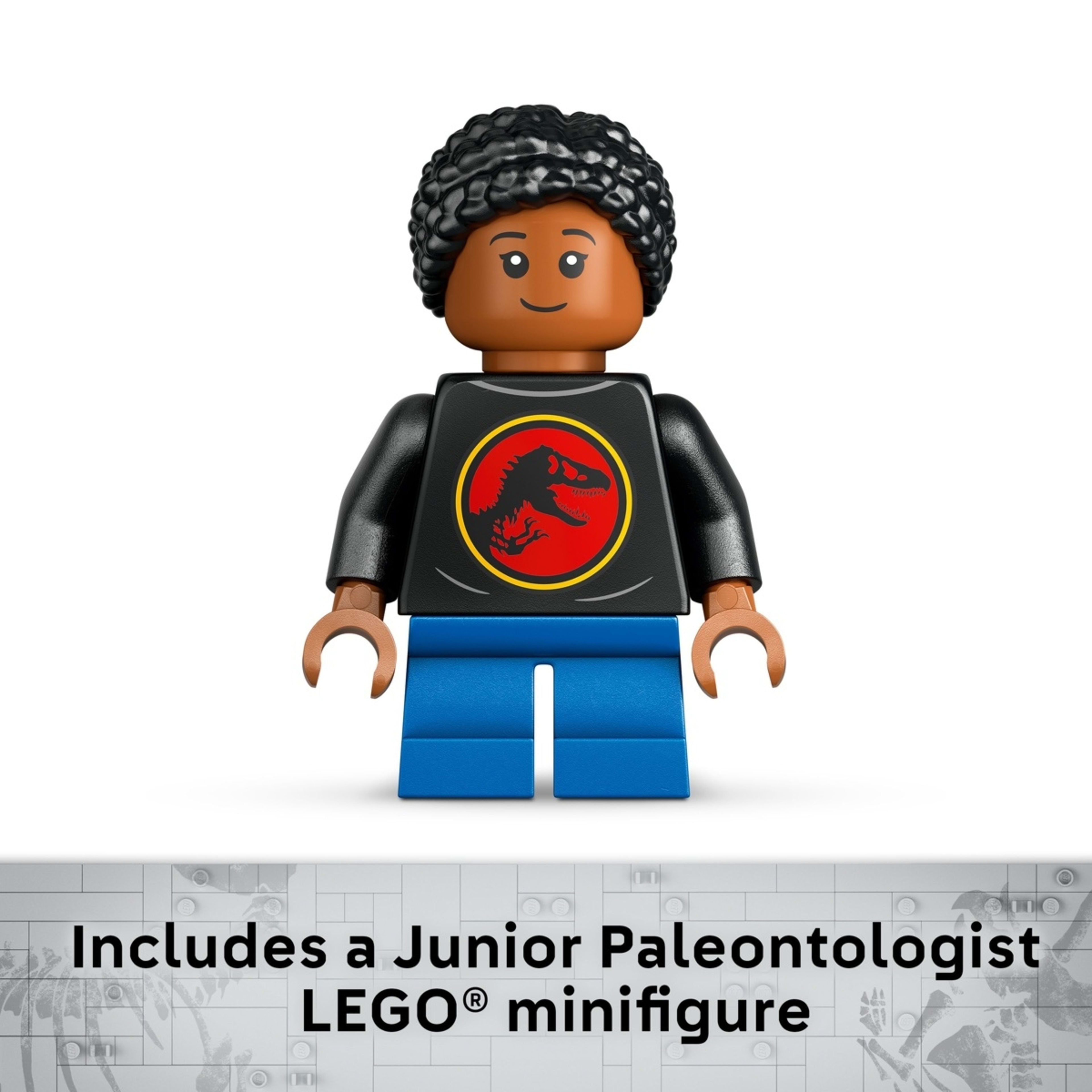 9 LEGO Jurassic World Dinosaur Fossils: Triceratops Skull 76969, 9 of 10