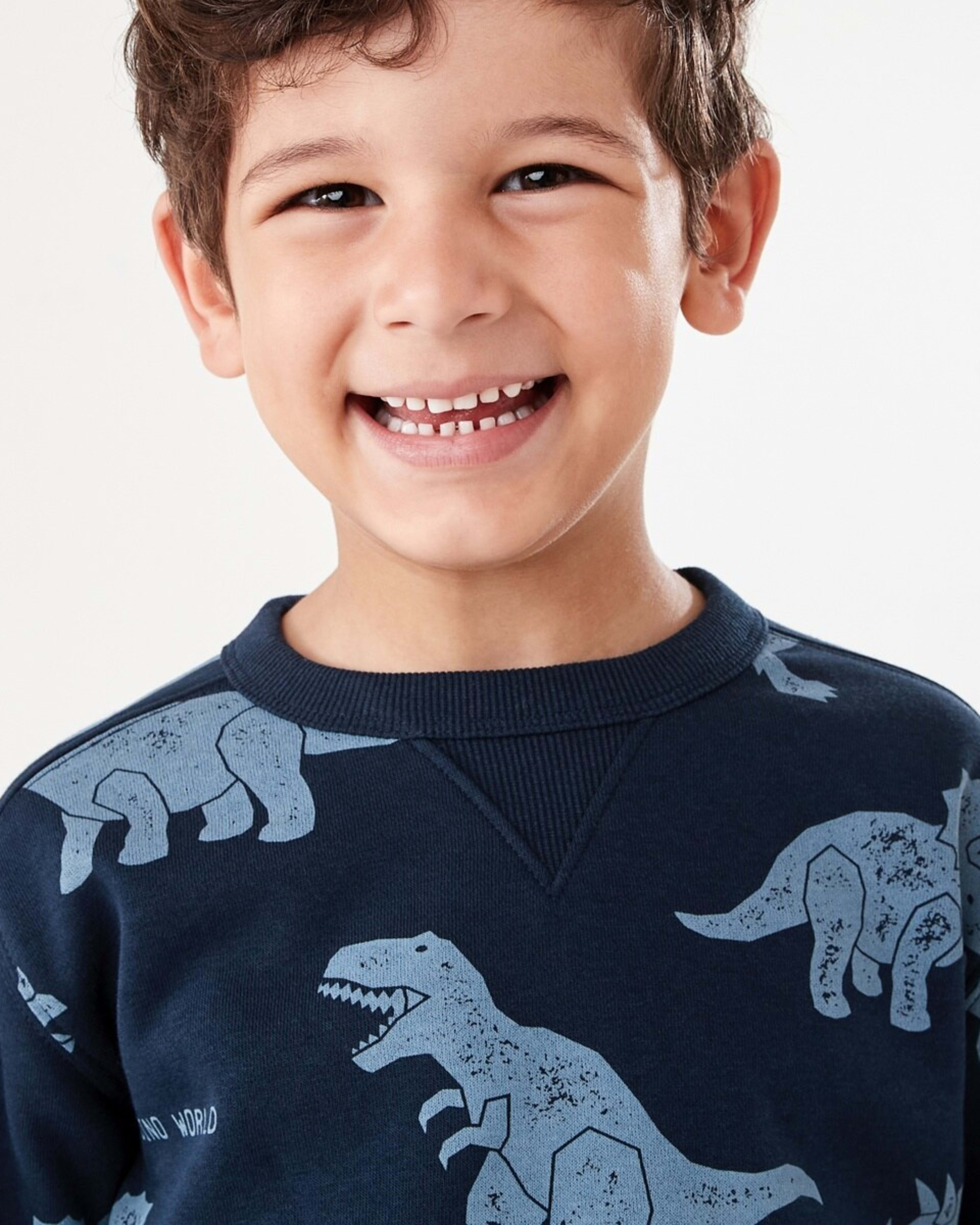 3 All Over Print Crew Neck Sweatshirt Blu Dino, 3 of 8