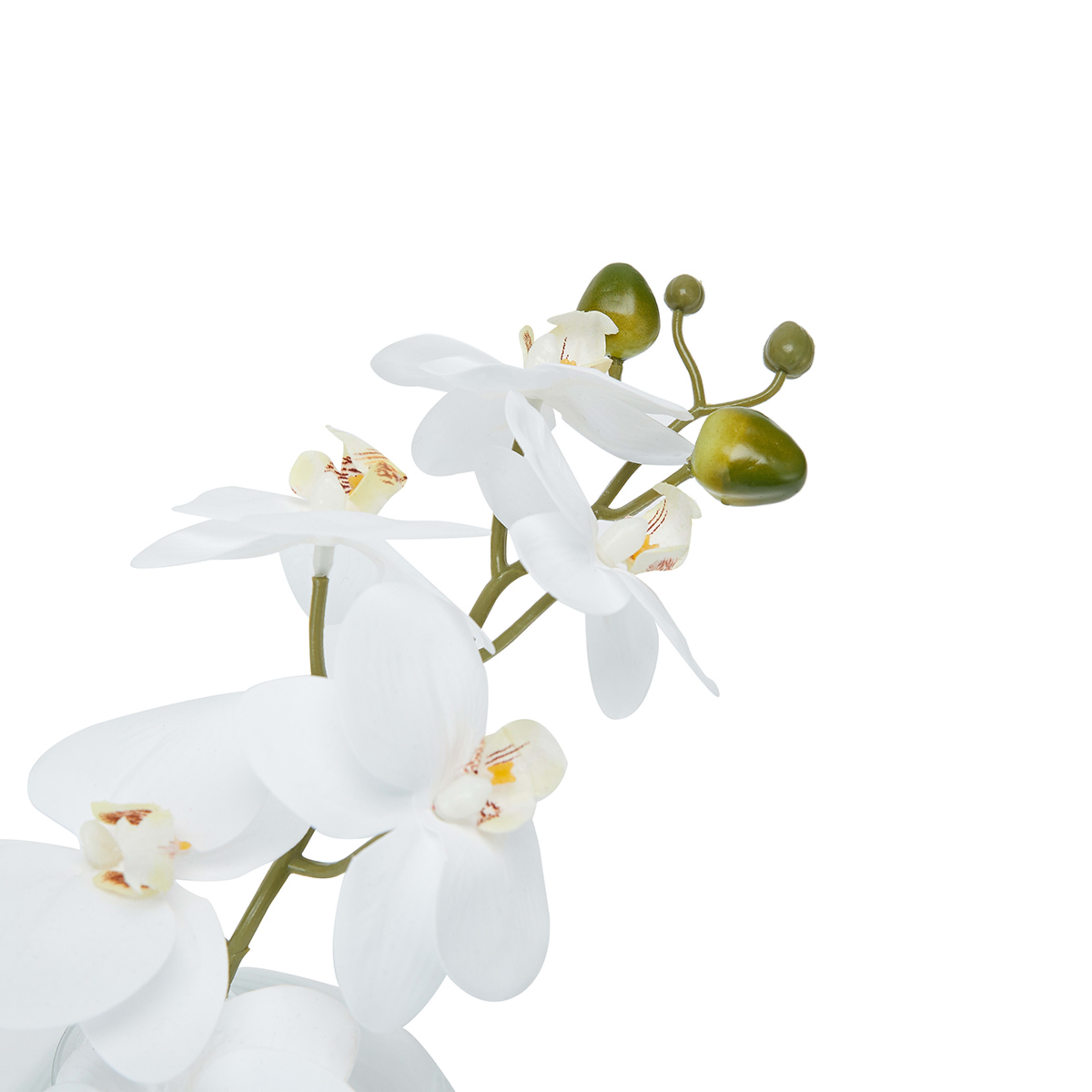 Artificial Orchid in Vase Kmart