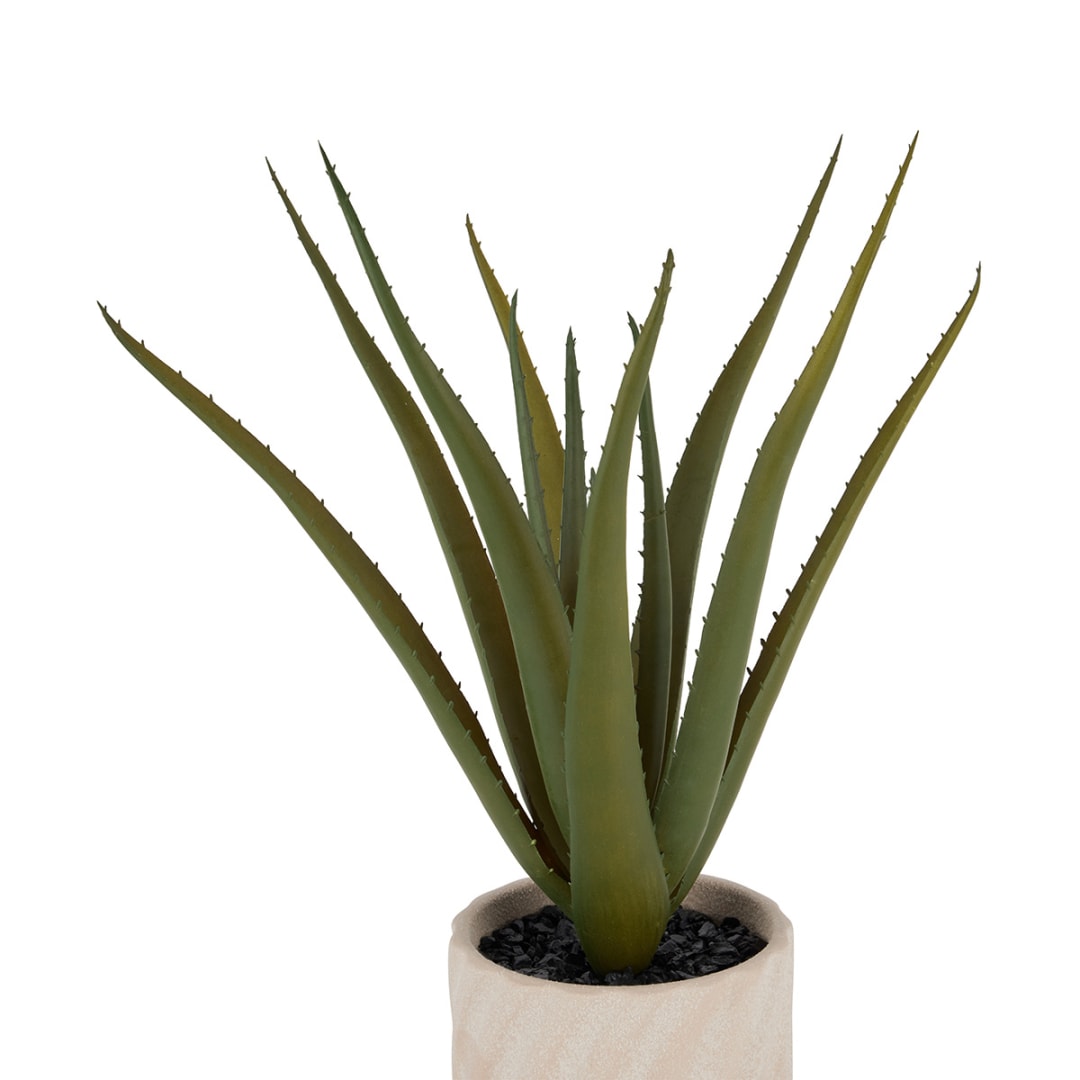 Artificial Aloe Vera in Pot - Kmart