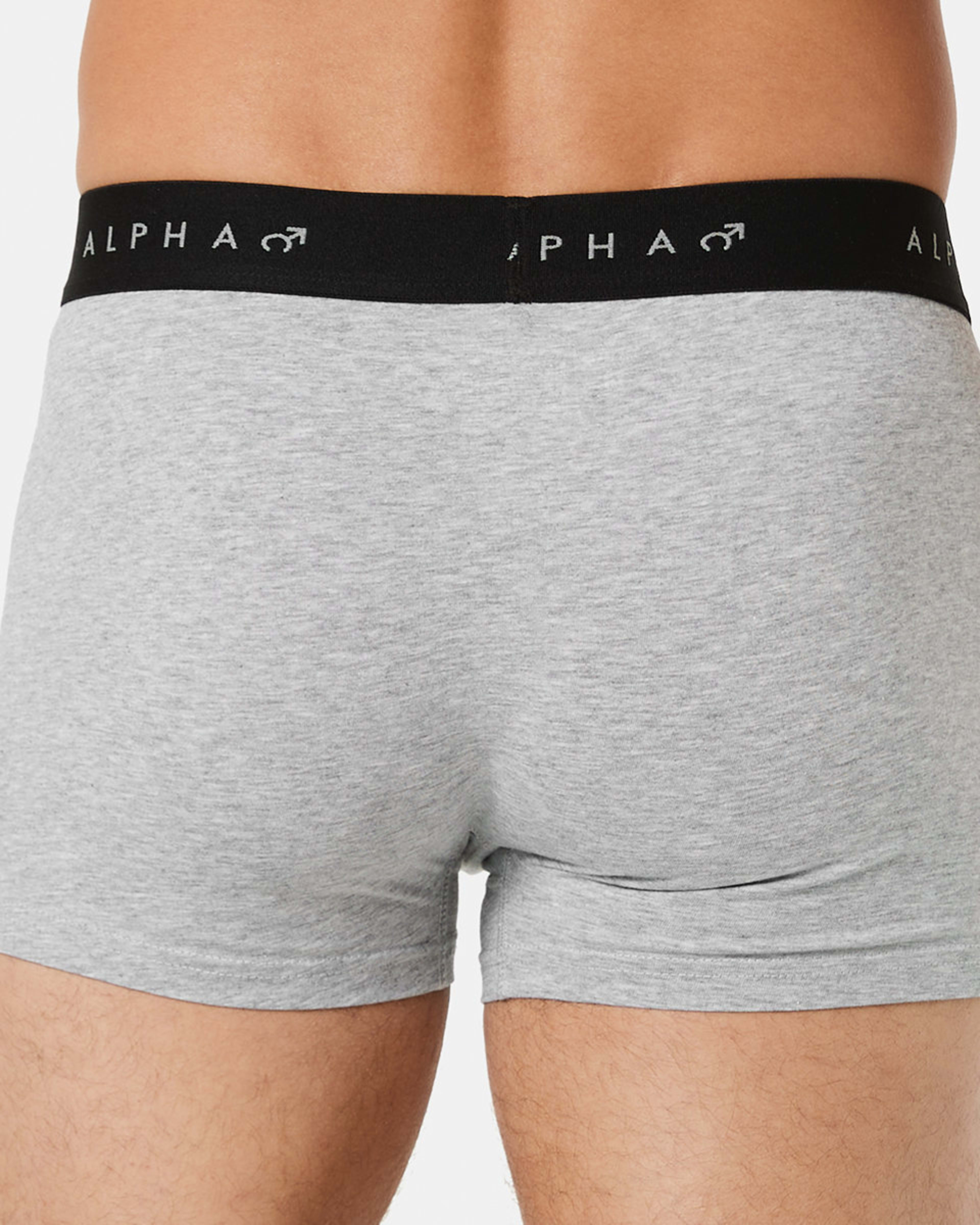 6 3 Pack Fly Front Plain Trunks GREY MARLE, 6 of 8