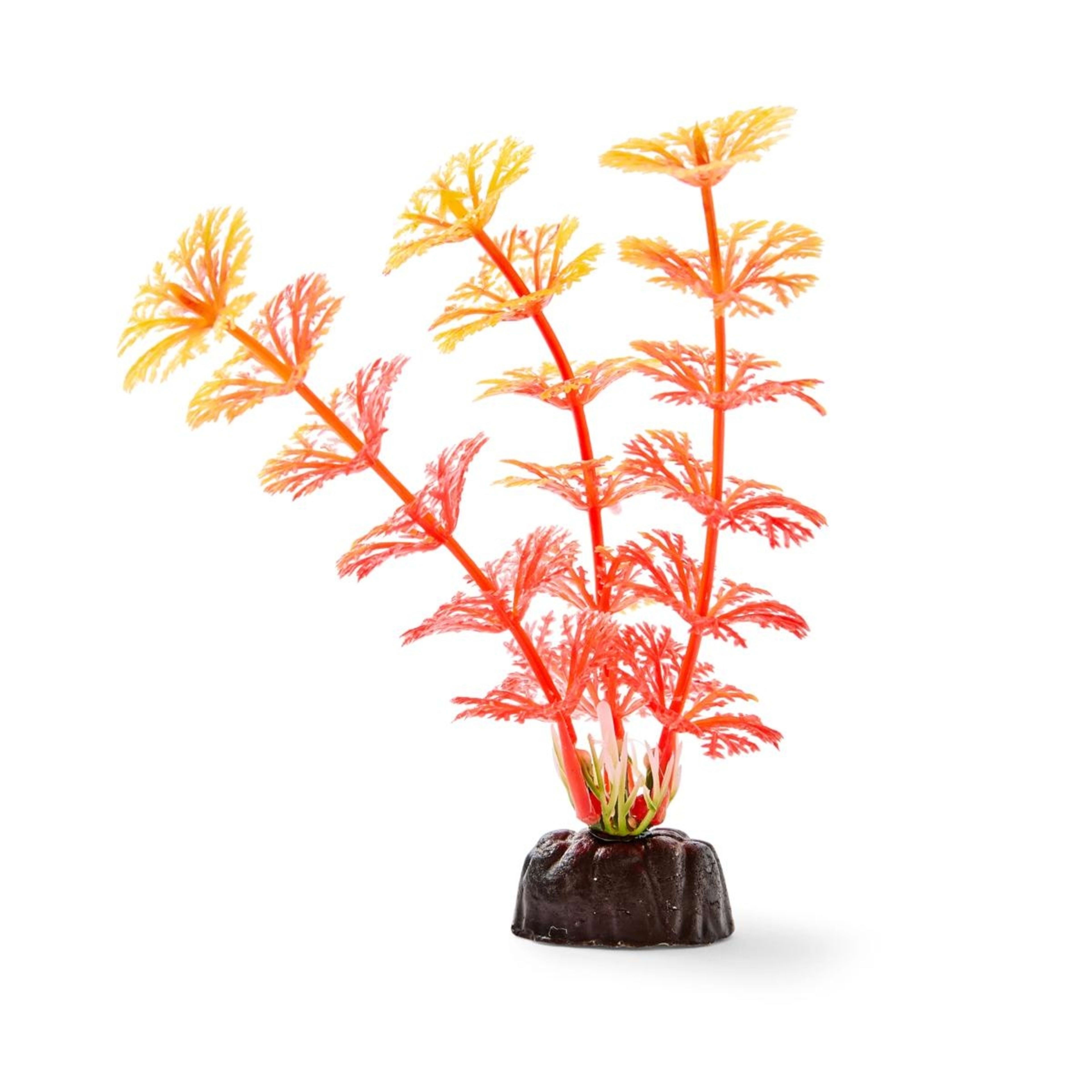 6 6 Pack Aquarium Bright Plants - Small, 6 of 10