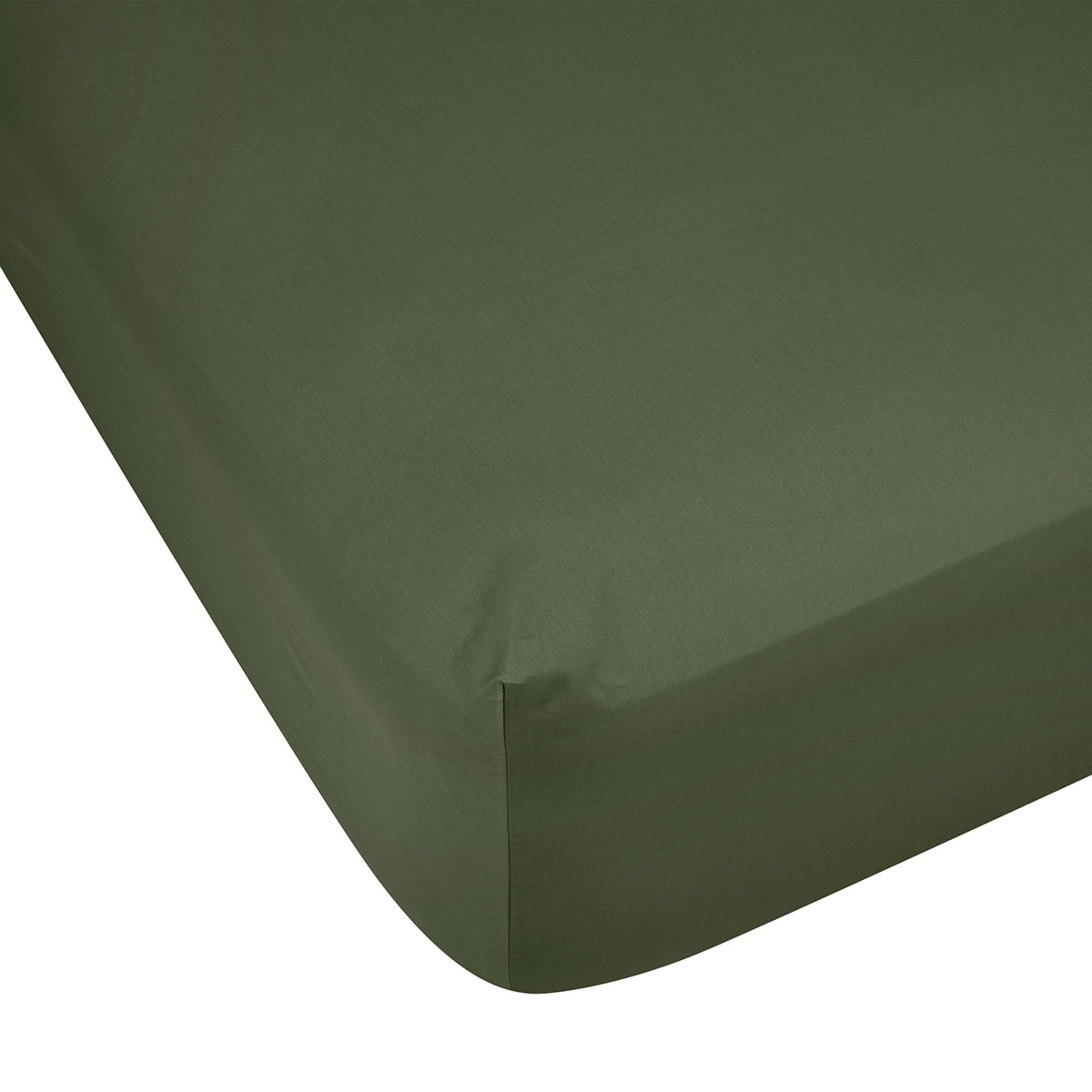 1 500 Thread Count Australian Grown Cotton Fitted Sheet - Double Bed, Forest