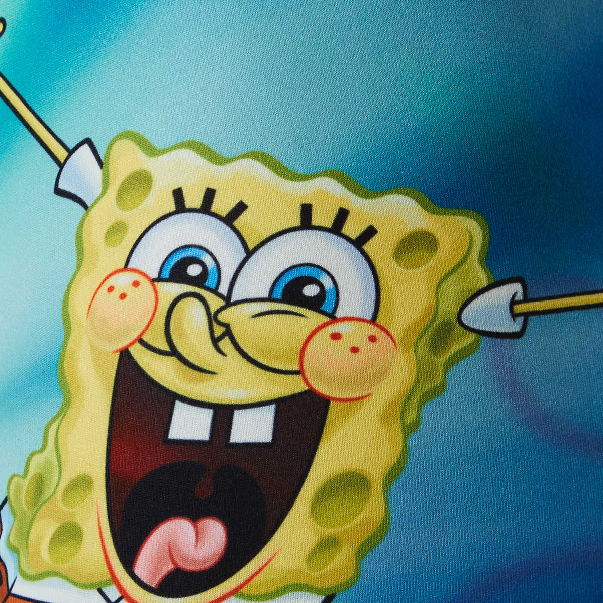 SpongeBob SquarePants License Trunks Kmart