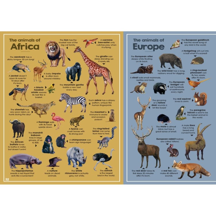 Animals of the World by Garry Fleming Book Kmart