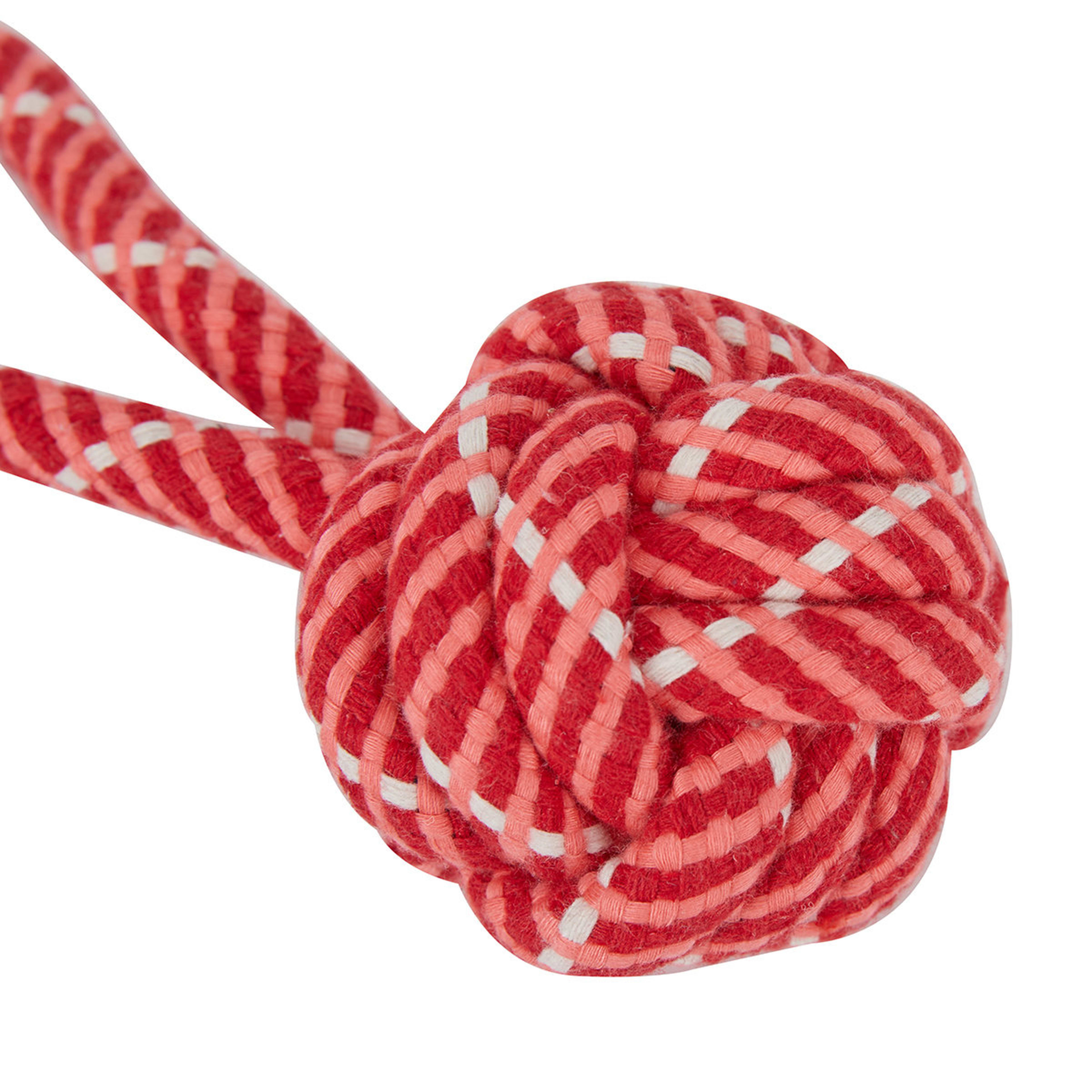 Pet Toys 12 Pack Kmart