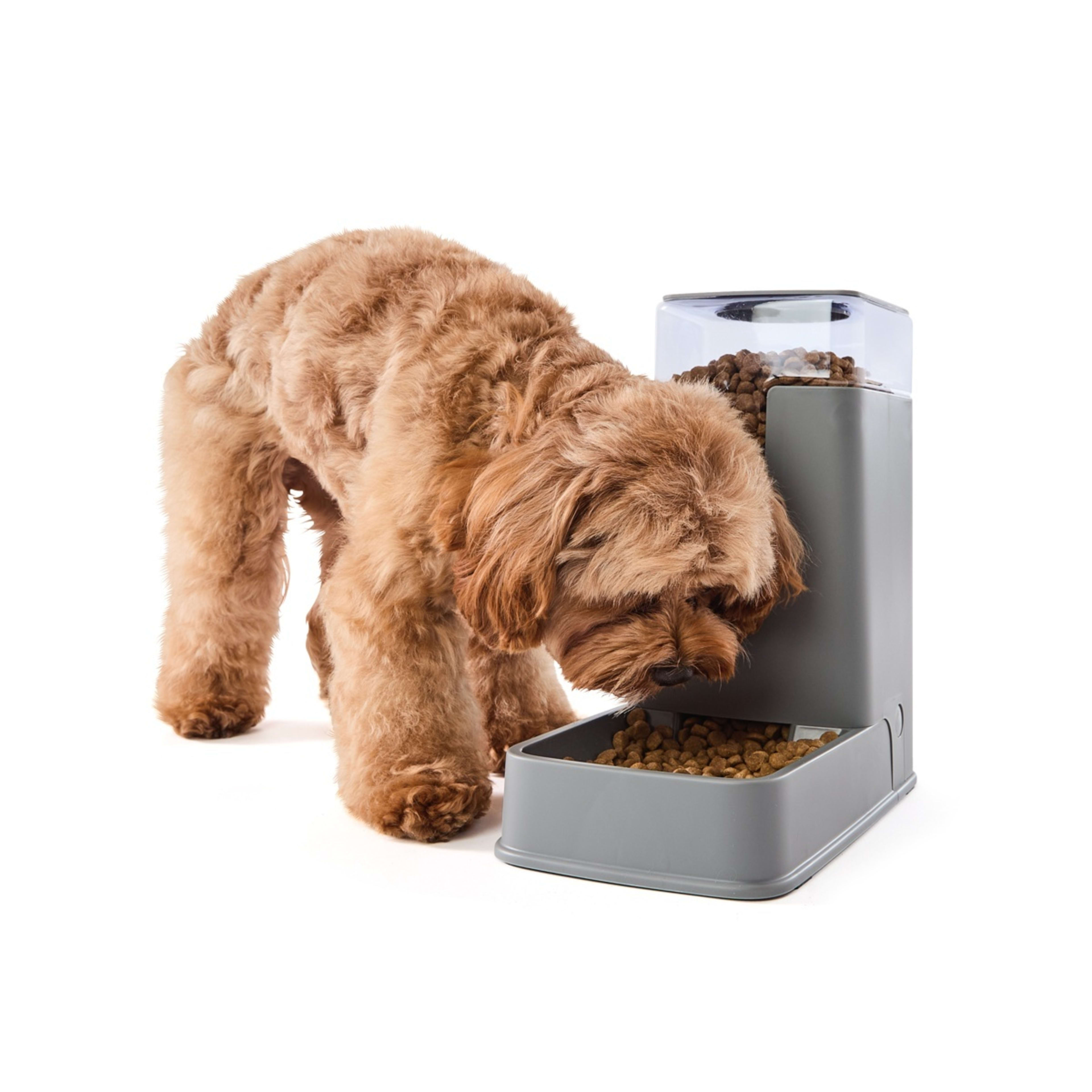 1 Pet Gravity Feeder Modern, 1 of 10